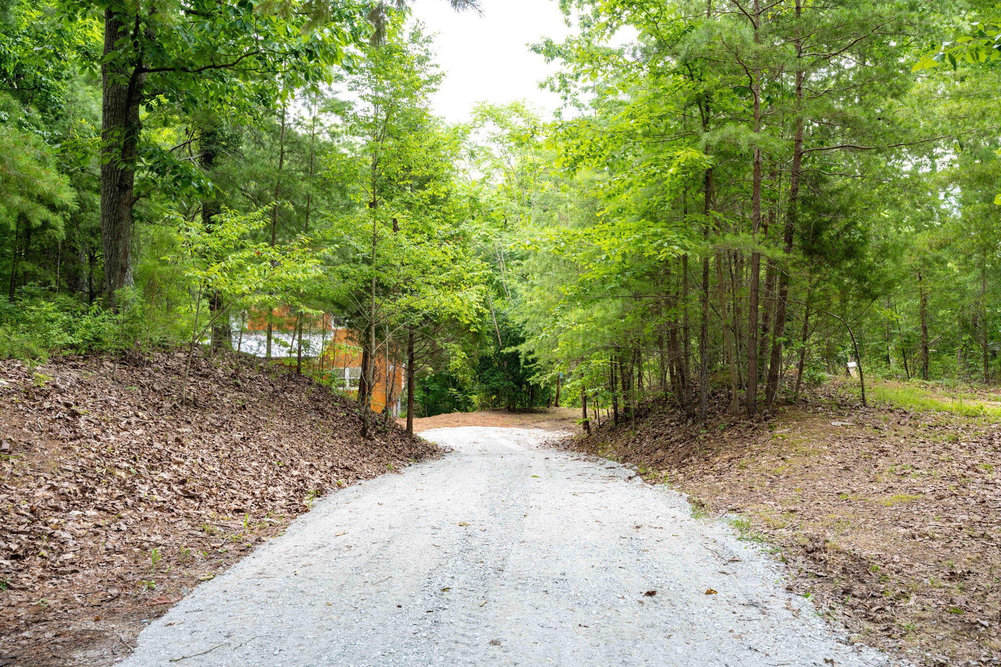 347 Hickory Drive