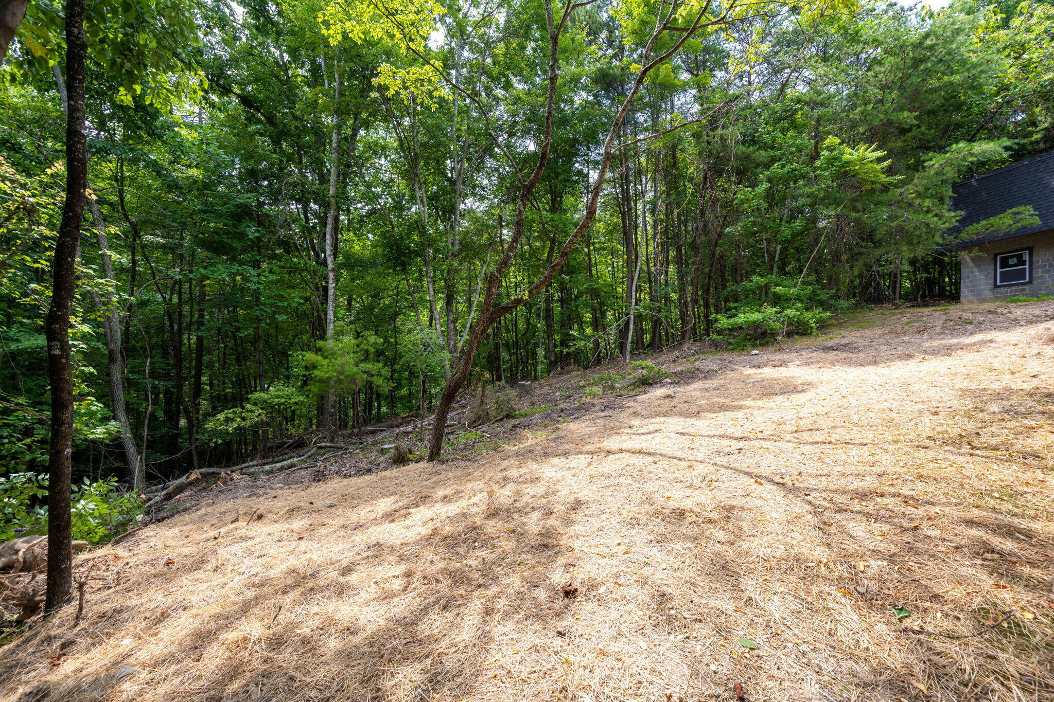 184 Hickory Drive