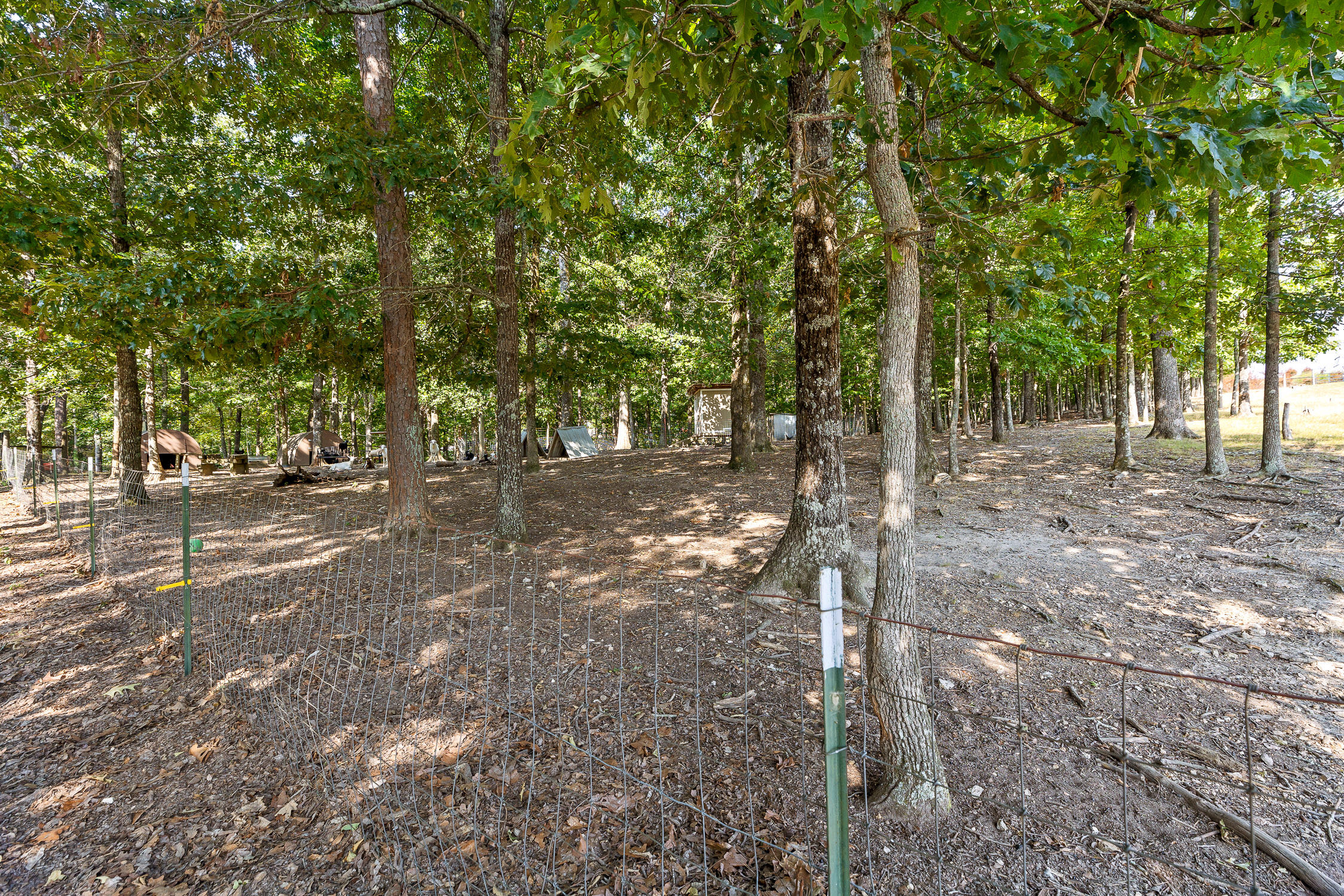 7429 Chad Road Road