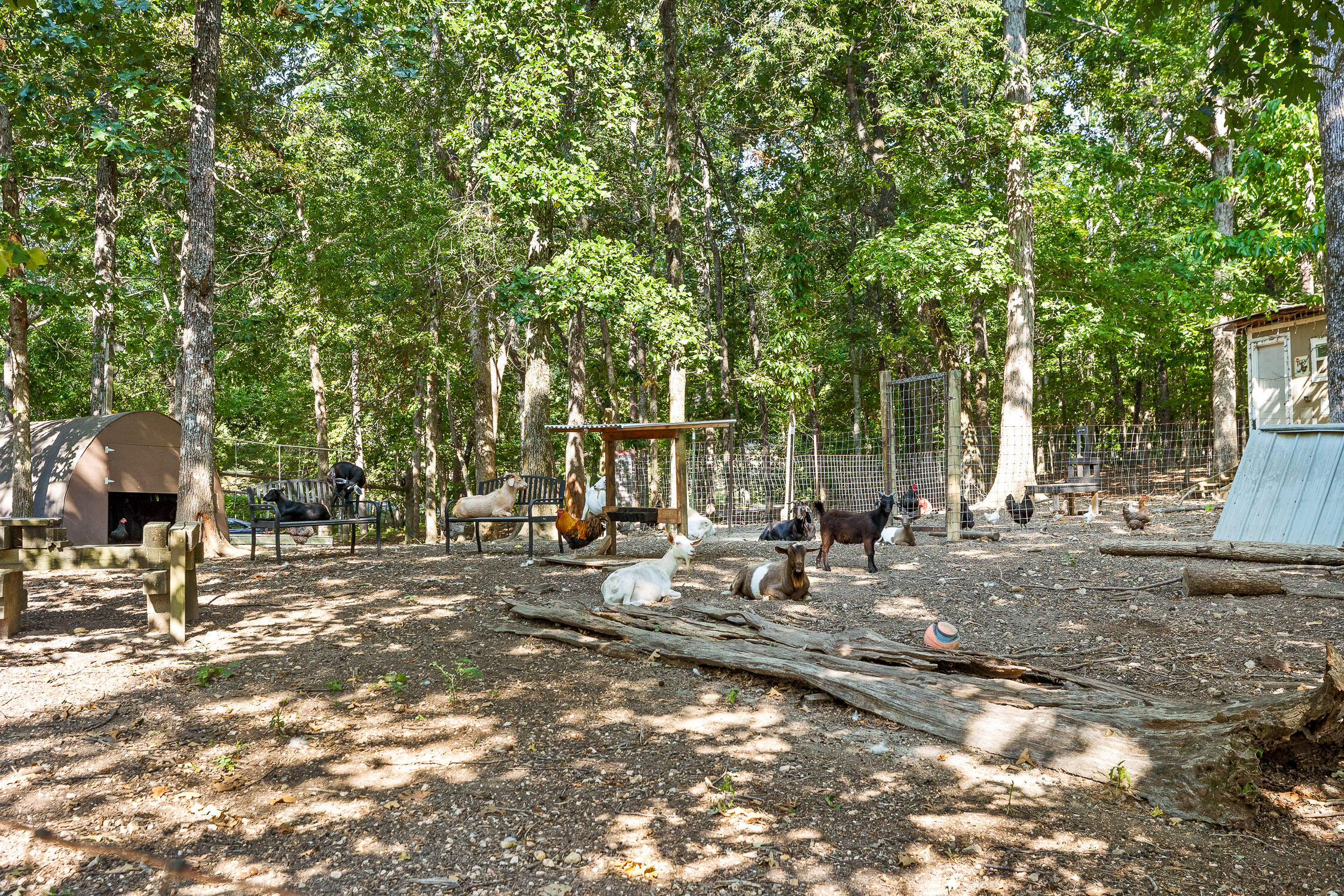 7429 Chad Road Road