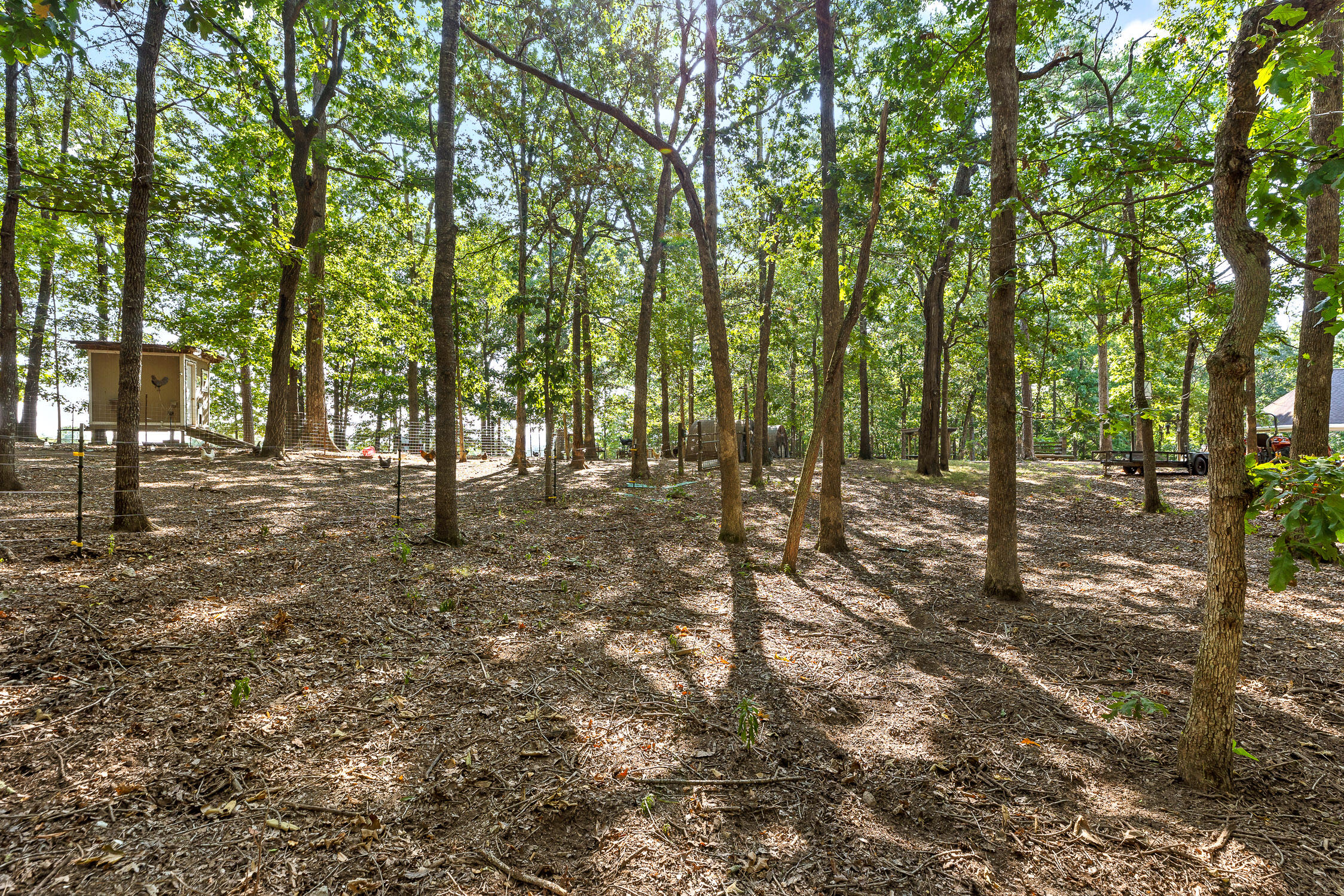7429 Chad Road Road