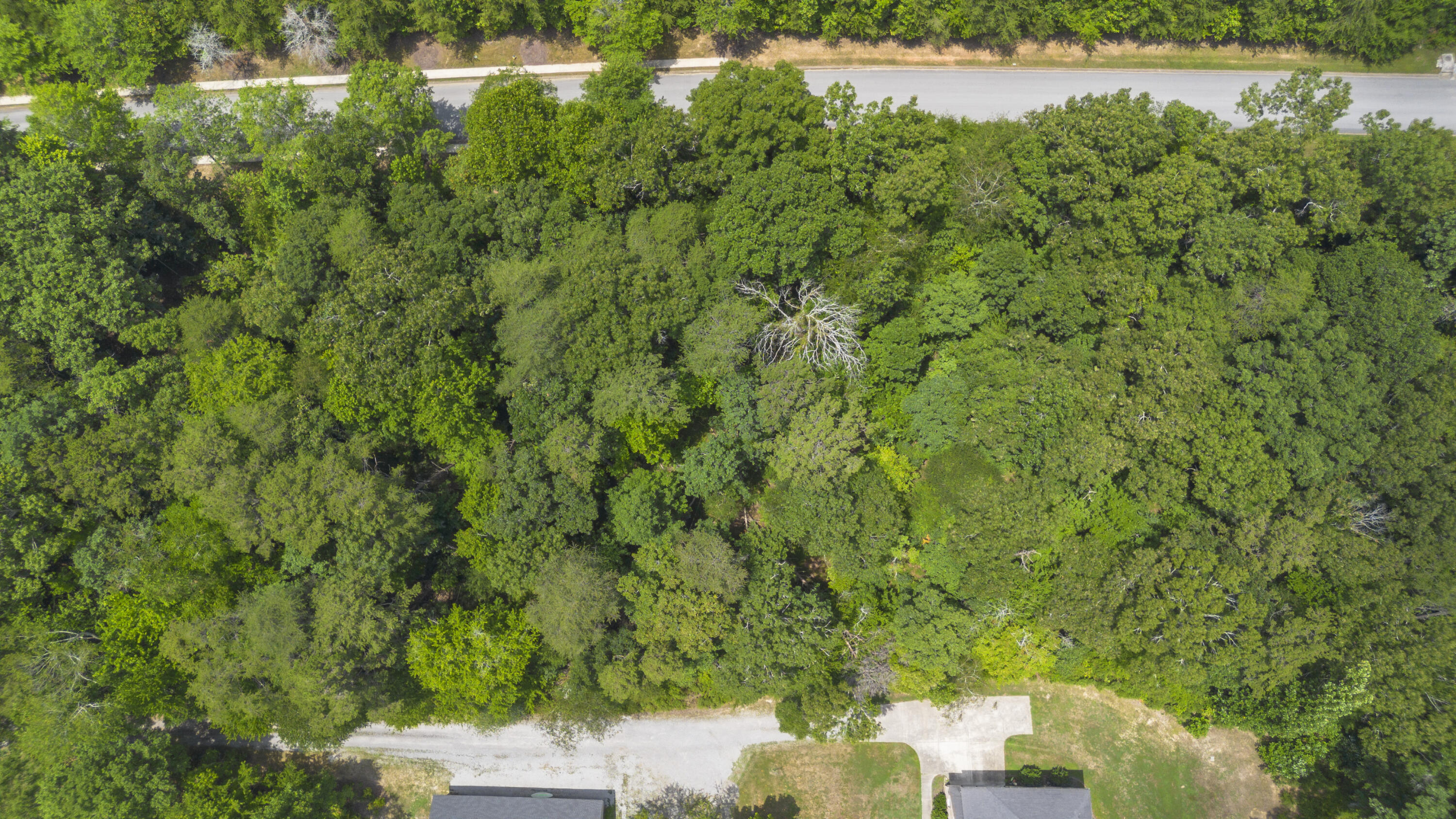 12658 Emerald Bay Drive