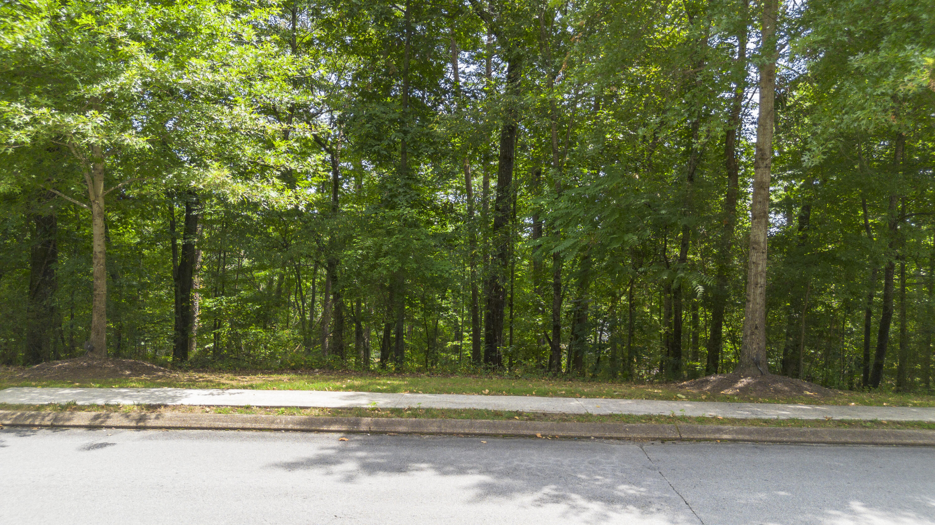 12658 Emerald Bay Drive