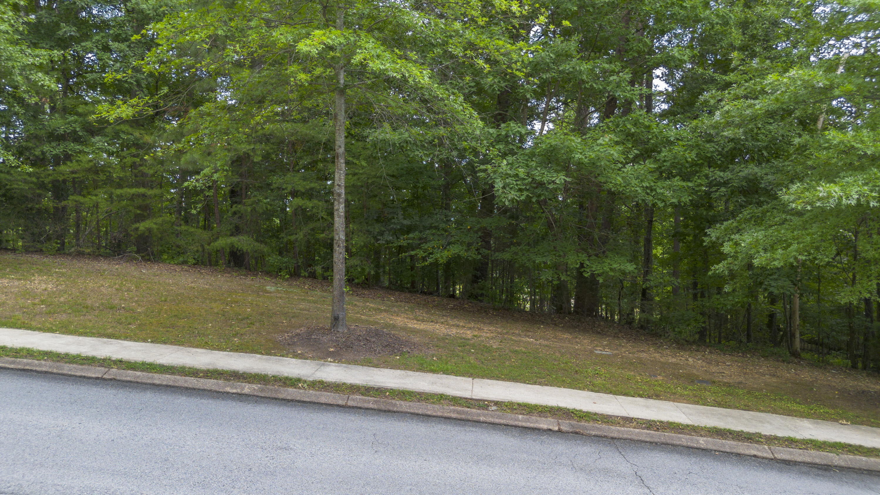 12658 Emerald Bay Drive