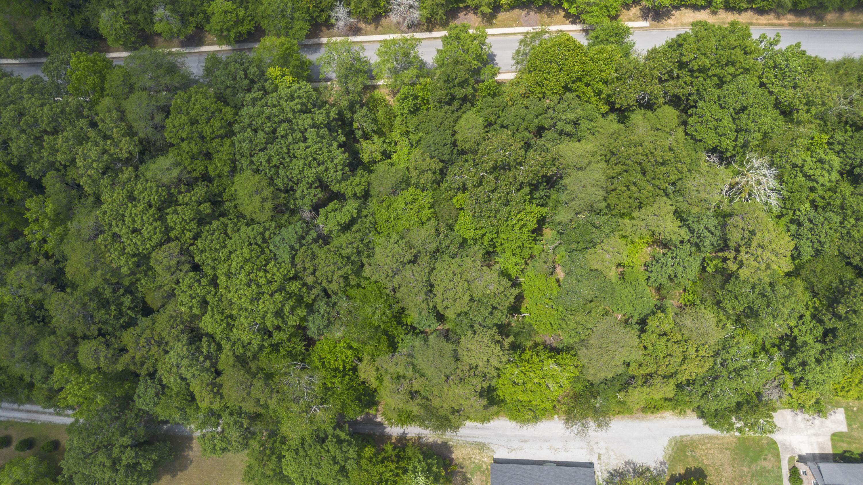 12658 Emerald Bay Drive