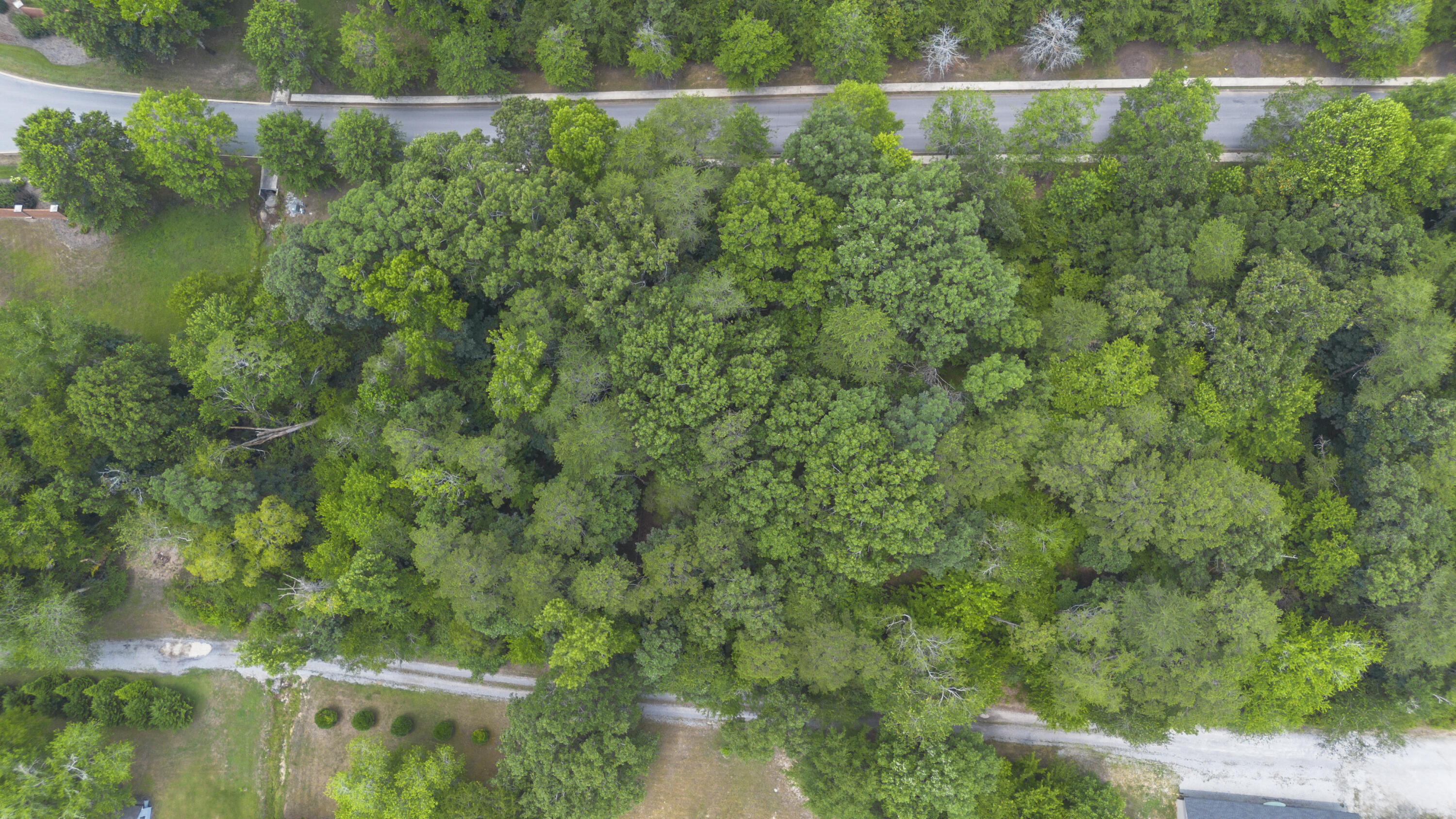 12658 Emerald Bay Drive