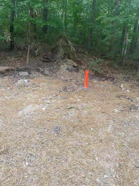106 N Germantown Road