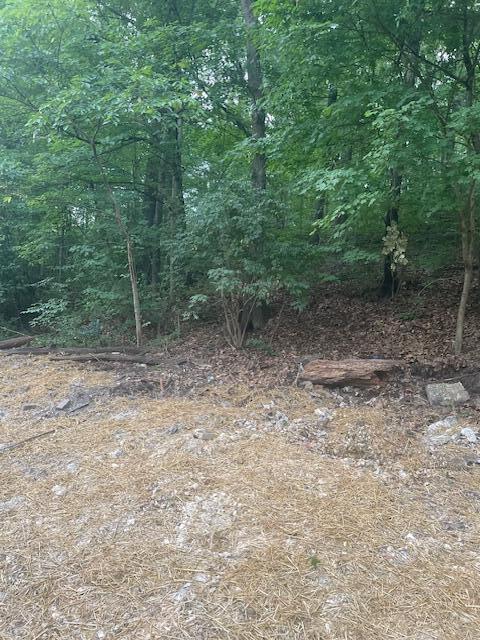 106 N Germantown Road