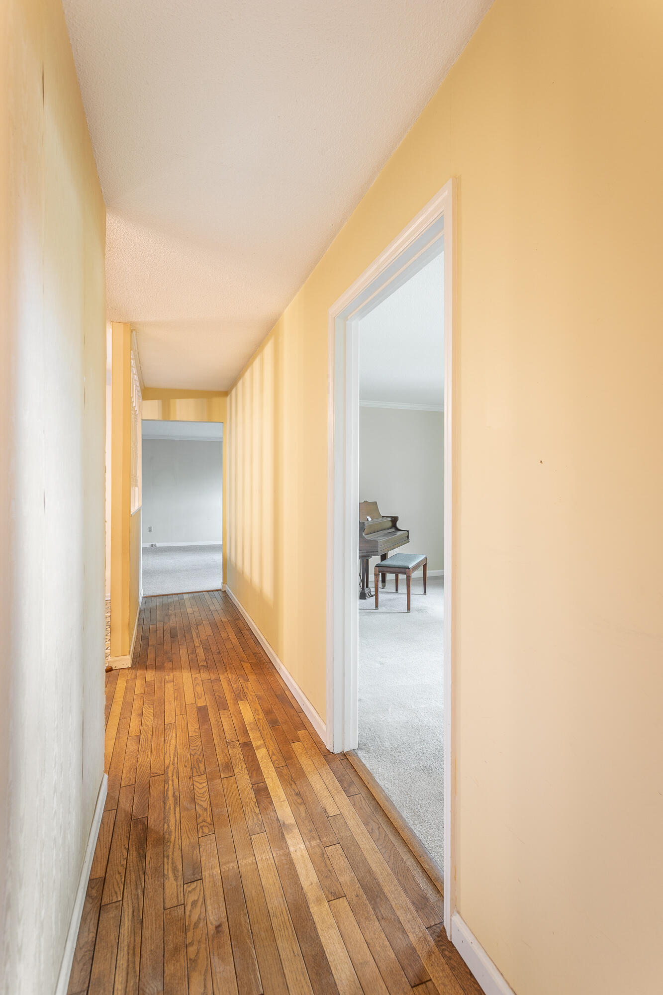 501 Glenn Lane