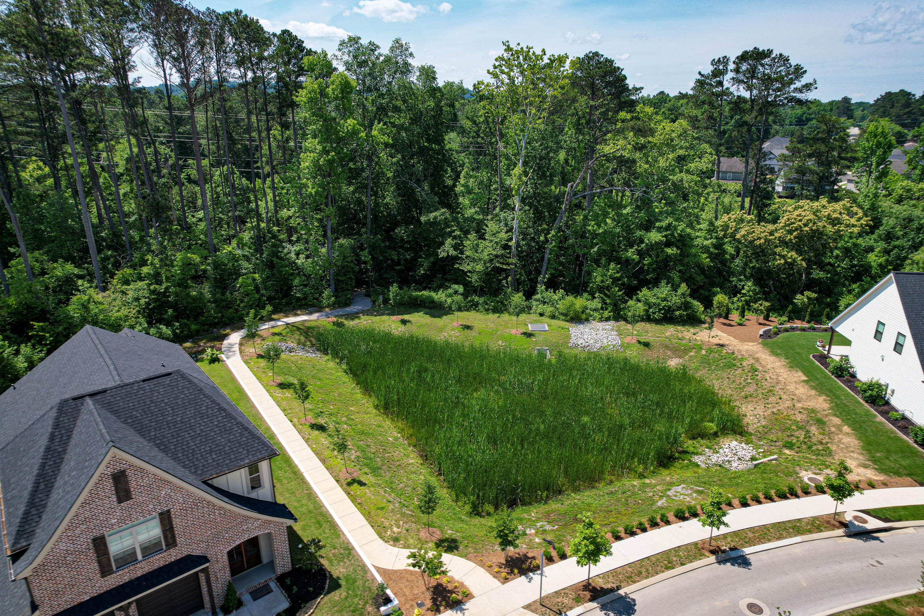 8095 Honeycomb Lane