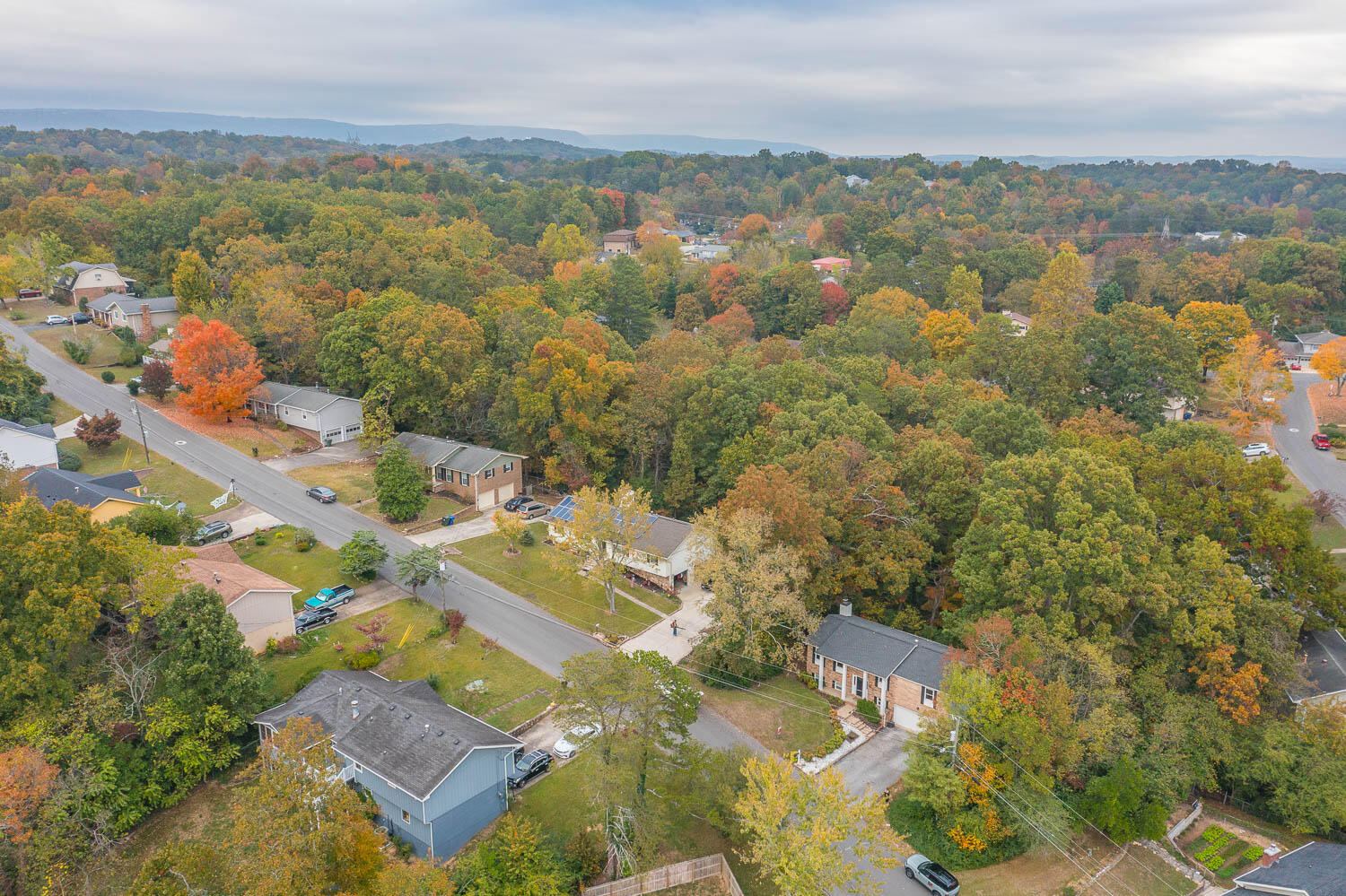 4514 Sherry Lane