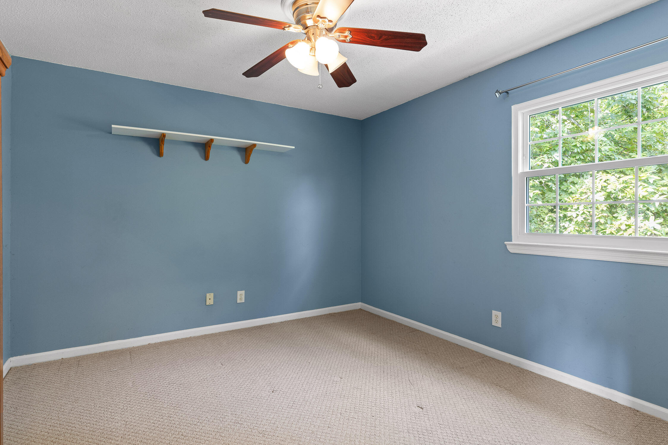8693 Arbutus Drive