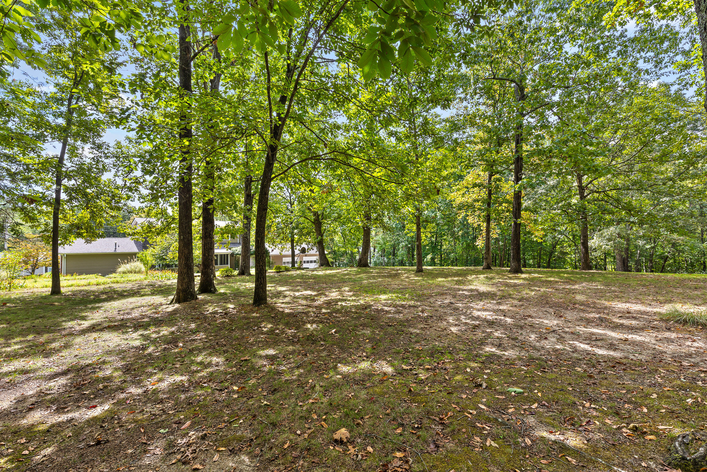 8693 Arbutus Drive