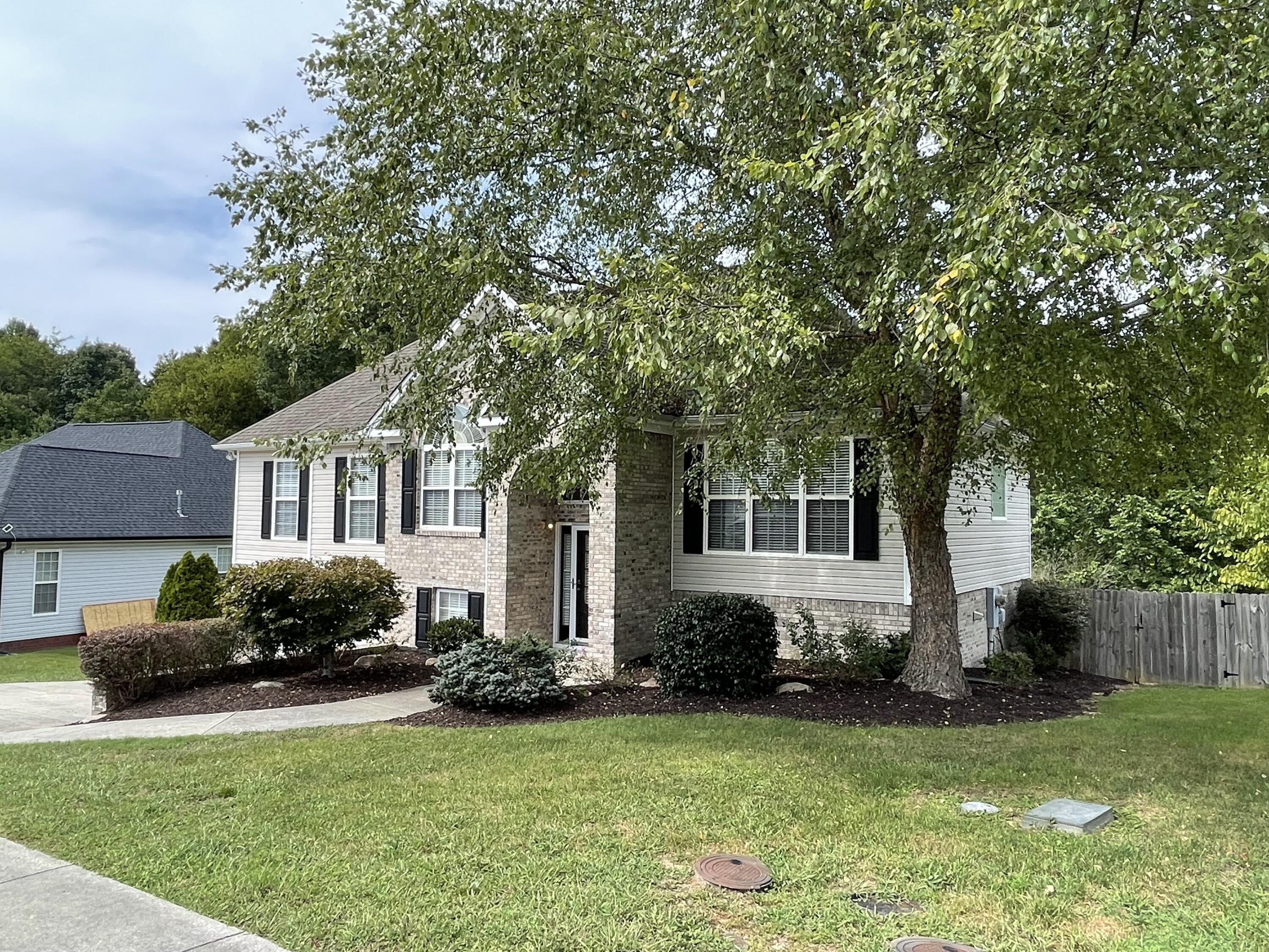 8011 Squirrel Wood Court
