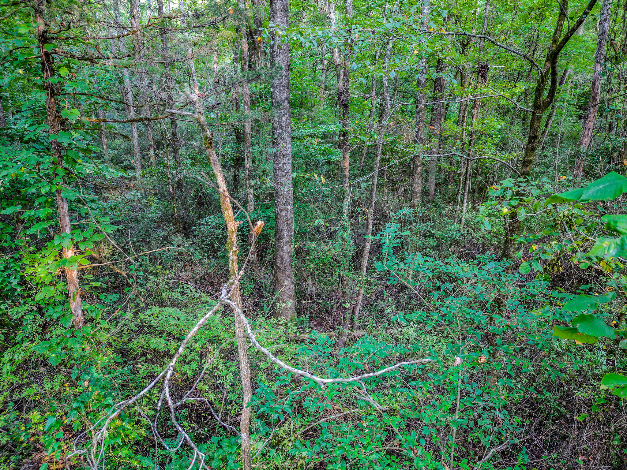 1320 Jones Crossing Road