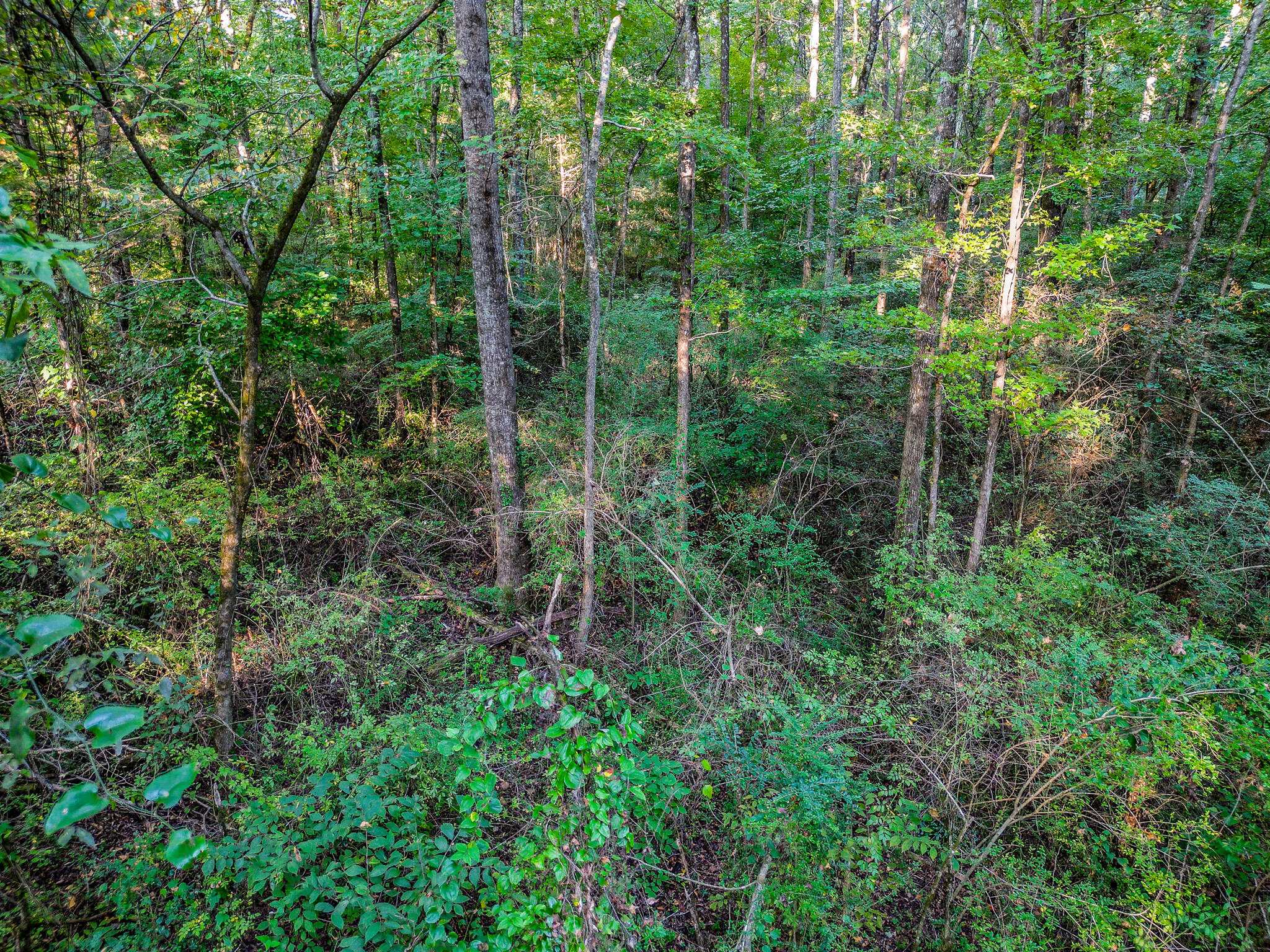 1320 Jones Crossing Road