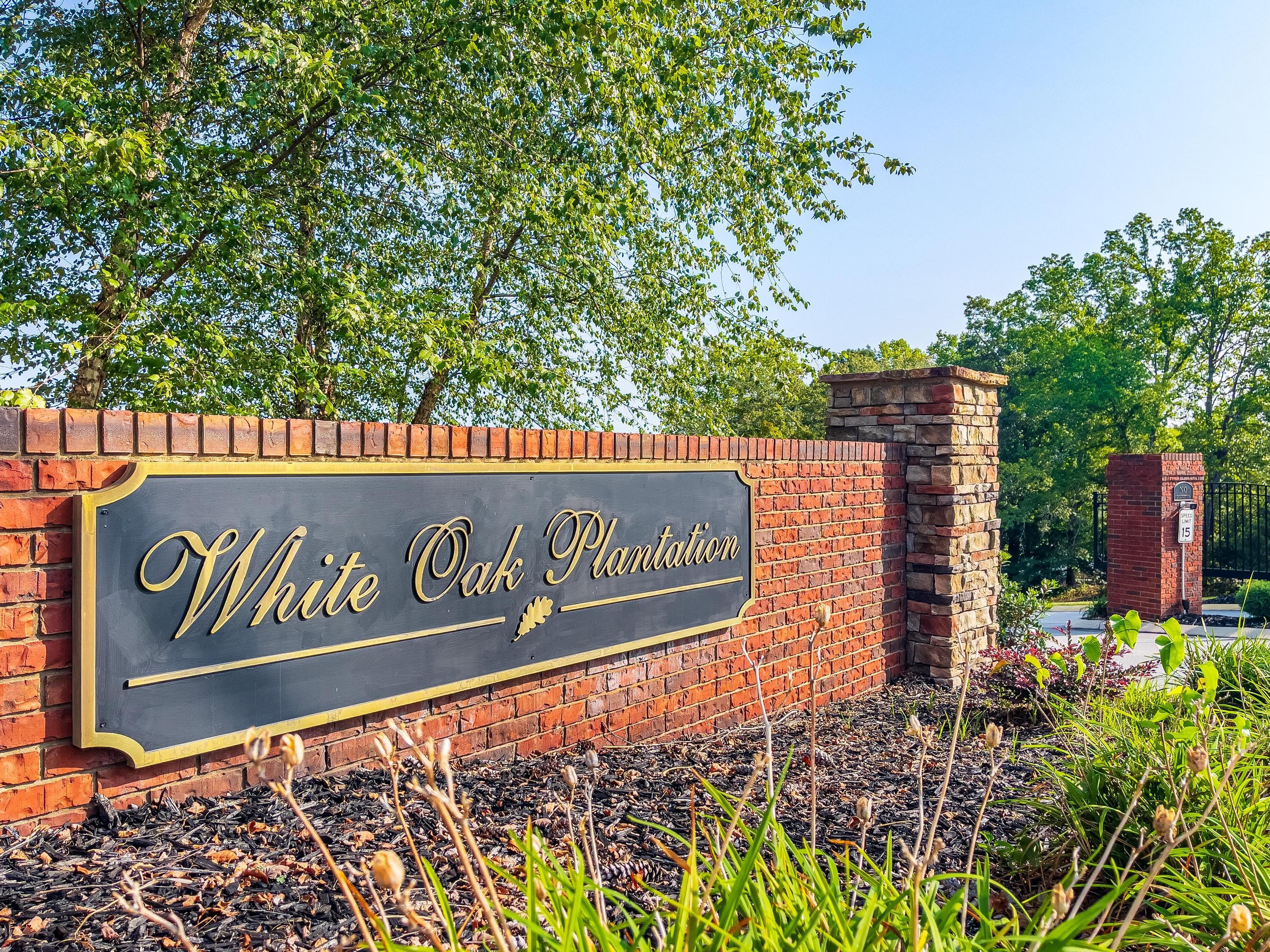 588 Live Oak Road