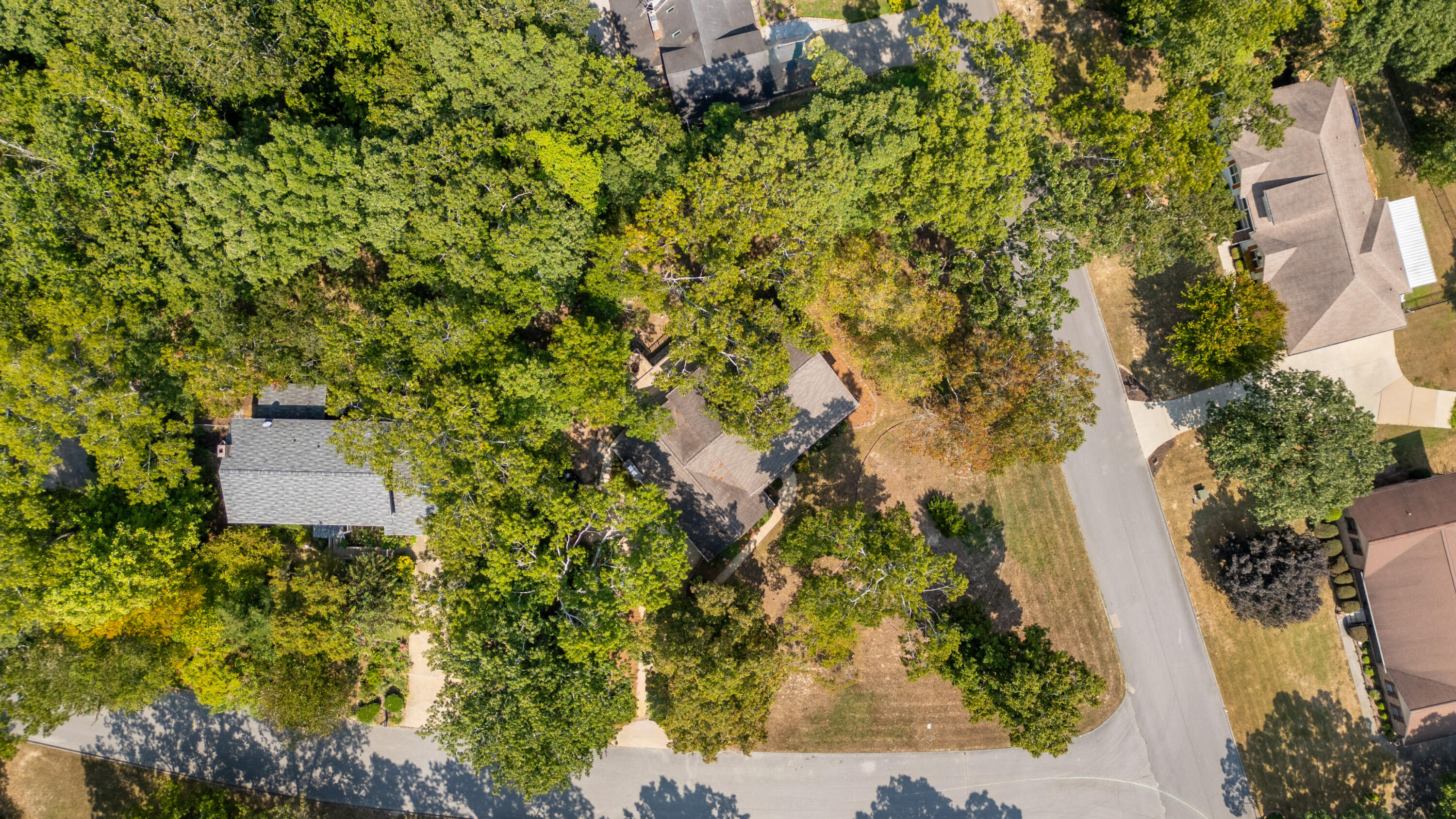 319 Windy Hollow Drive