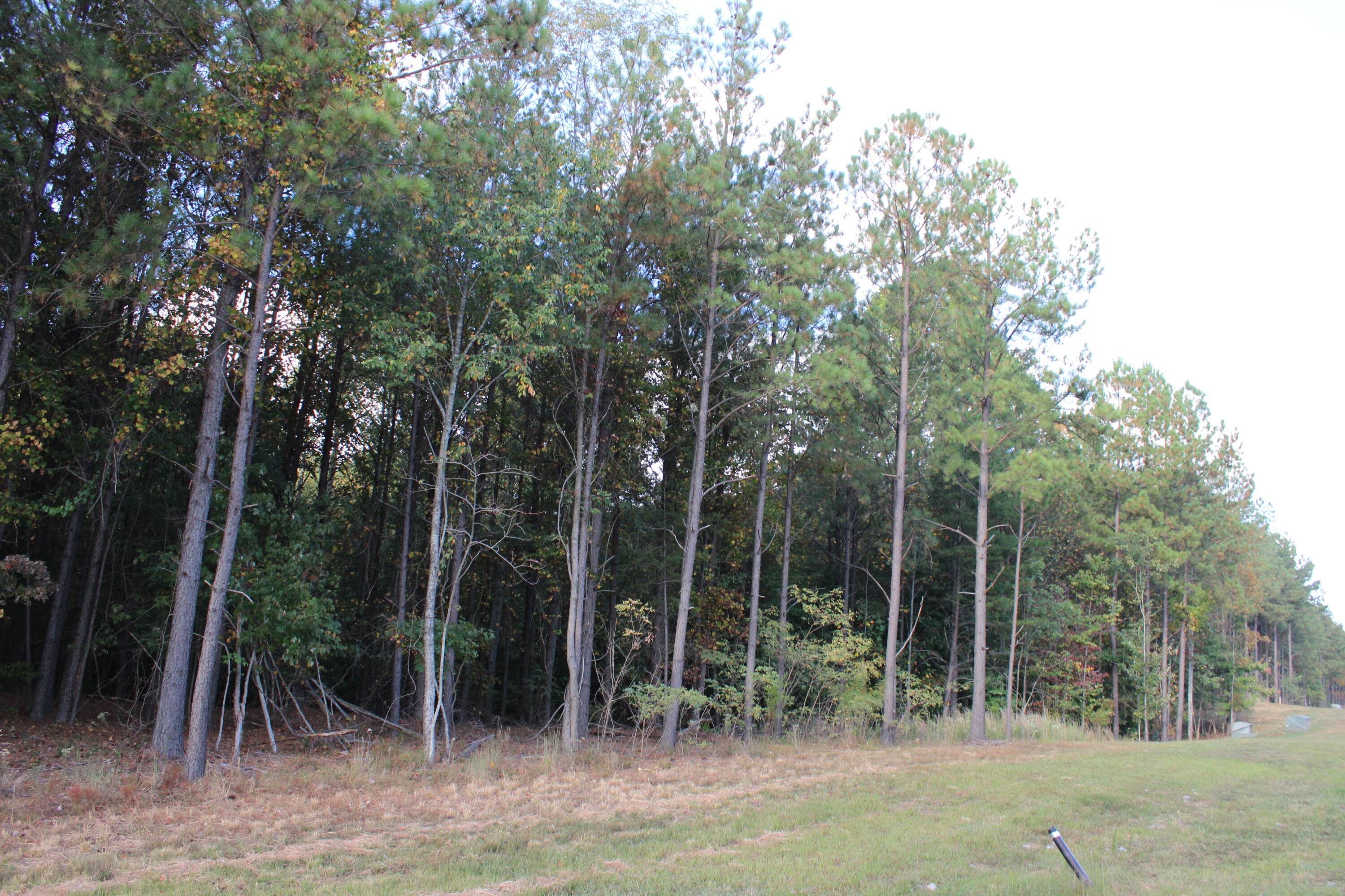 0 Waterwheel Way, 340