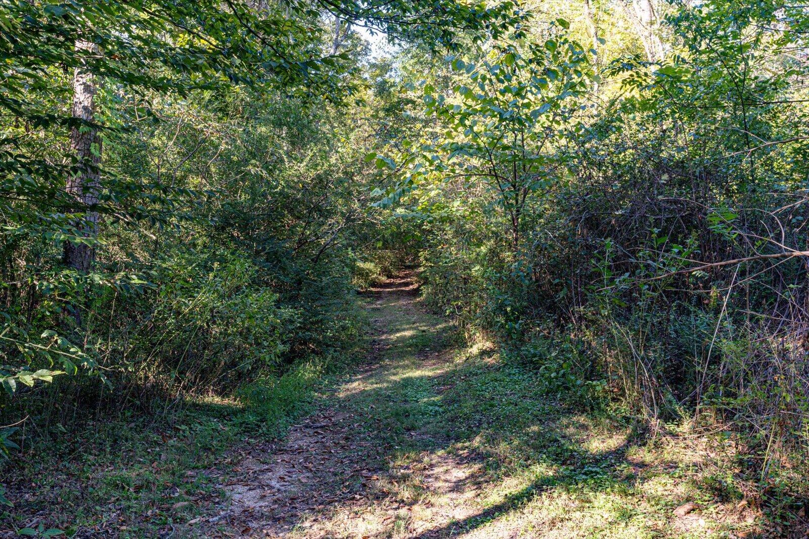 Lot 29 Swanson Tracts A&B Road
