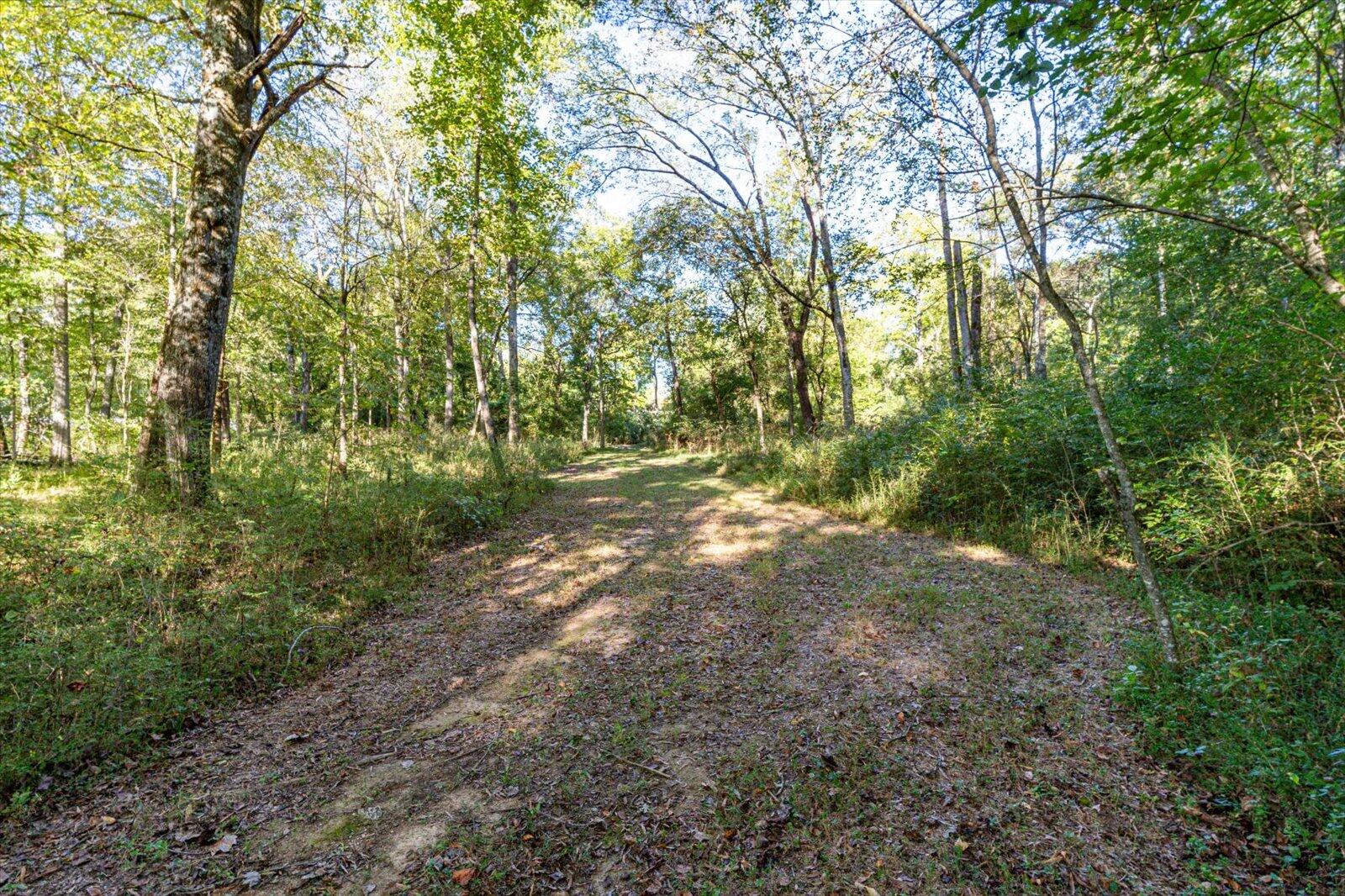 Lot 29 Swanson Tracts A&B Road