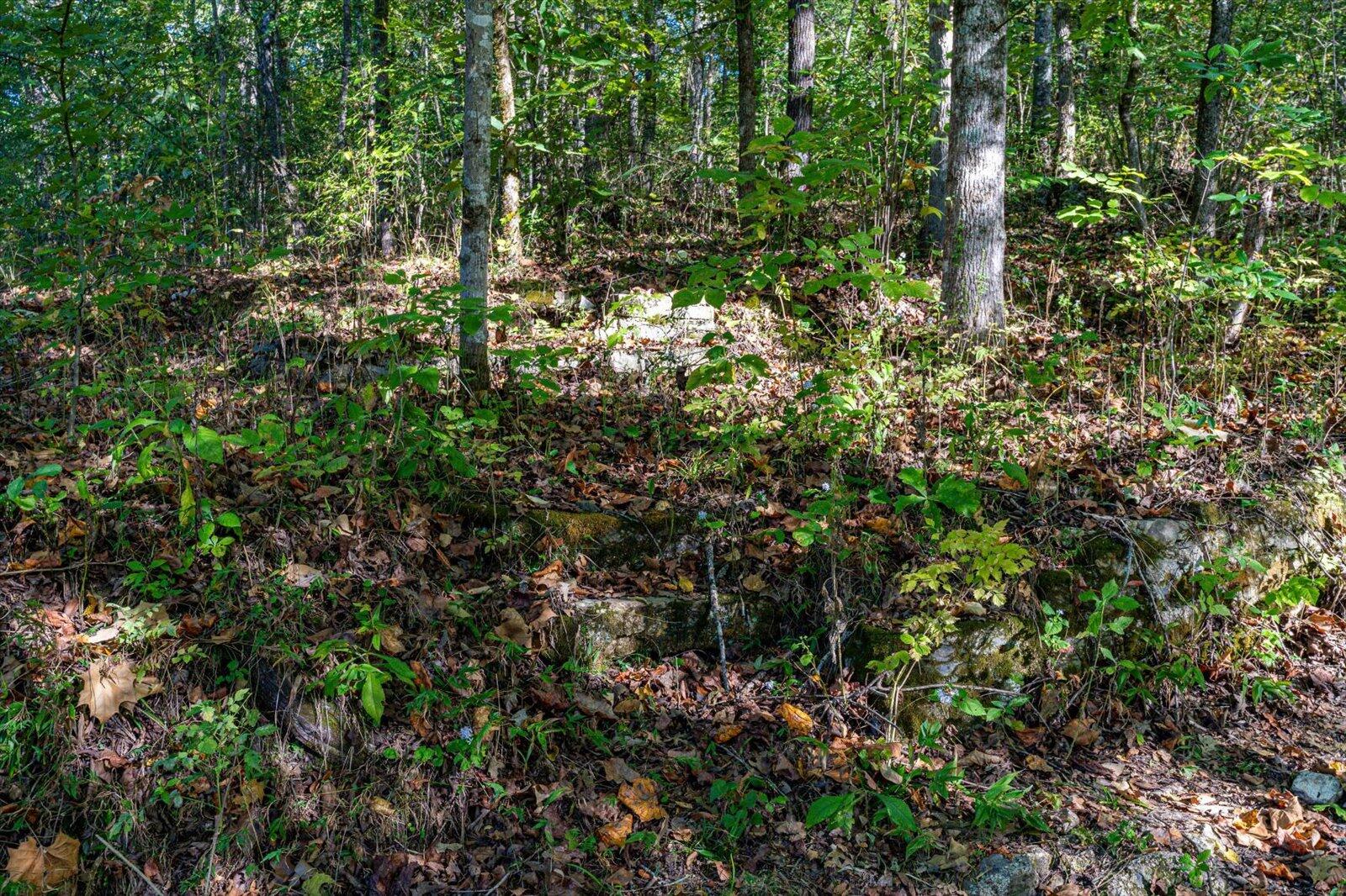 Lot 29 Swanson Tracts A&B Road
