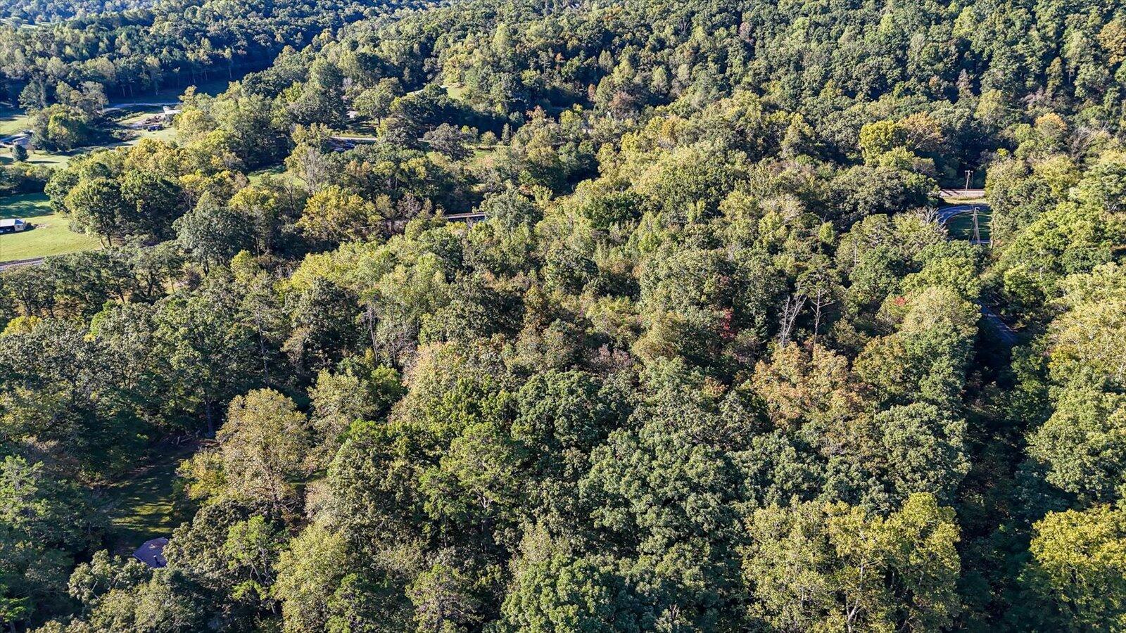 Lot 29 Swanson Tracts A&B Road