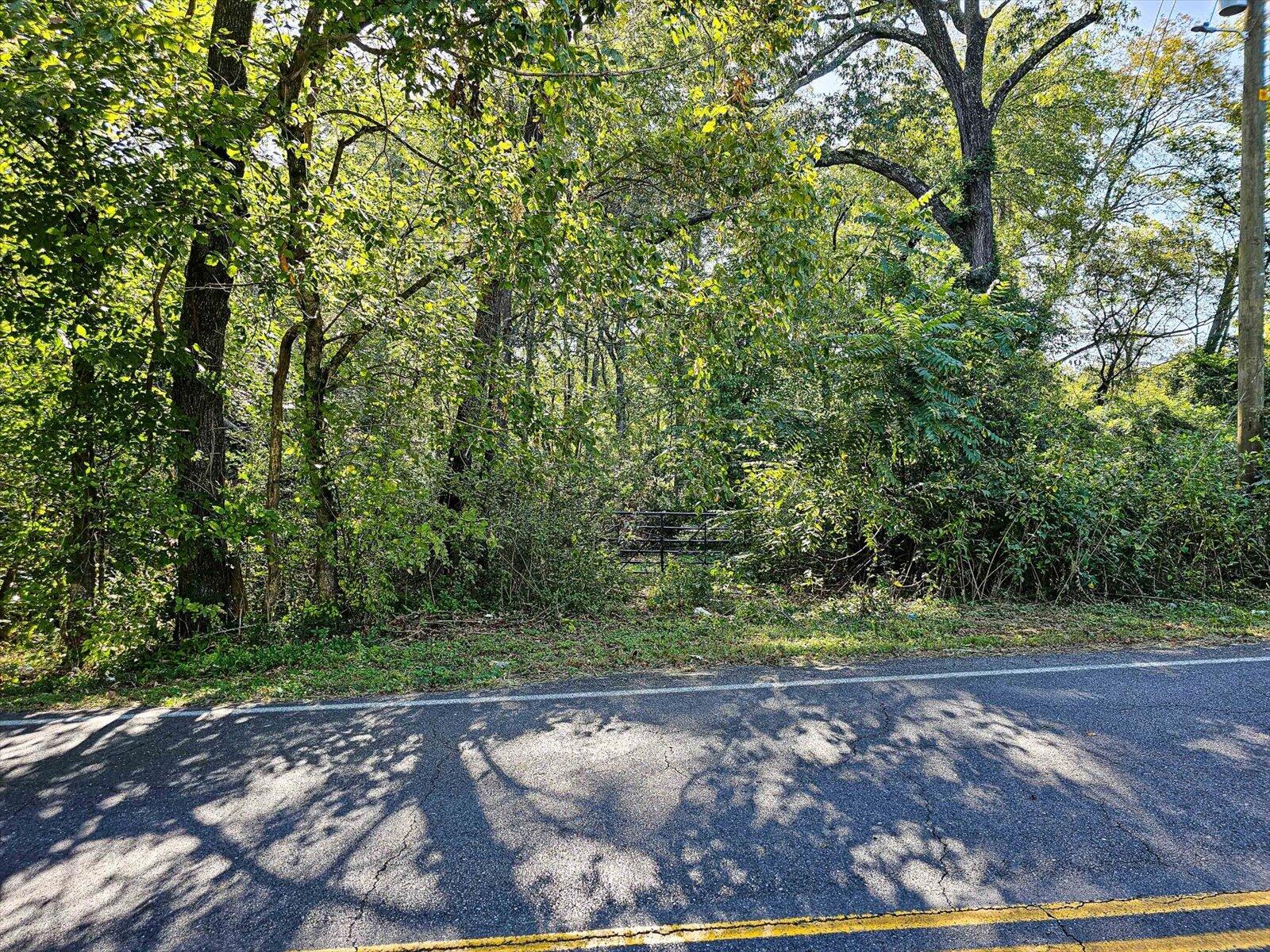Lot 29 Swanson Tracts A&B Road