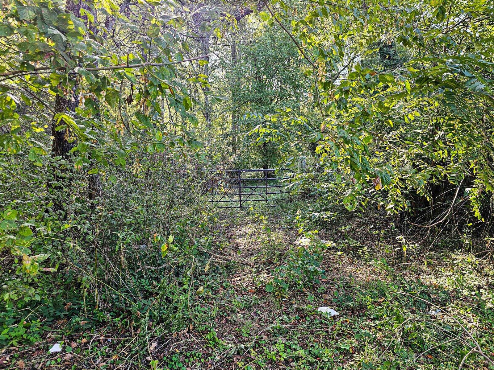 Lot 29 Swanson Tracts A&B Road