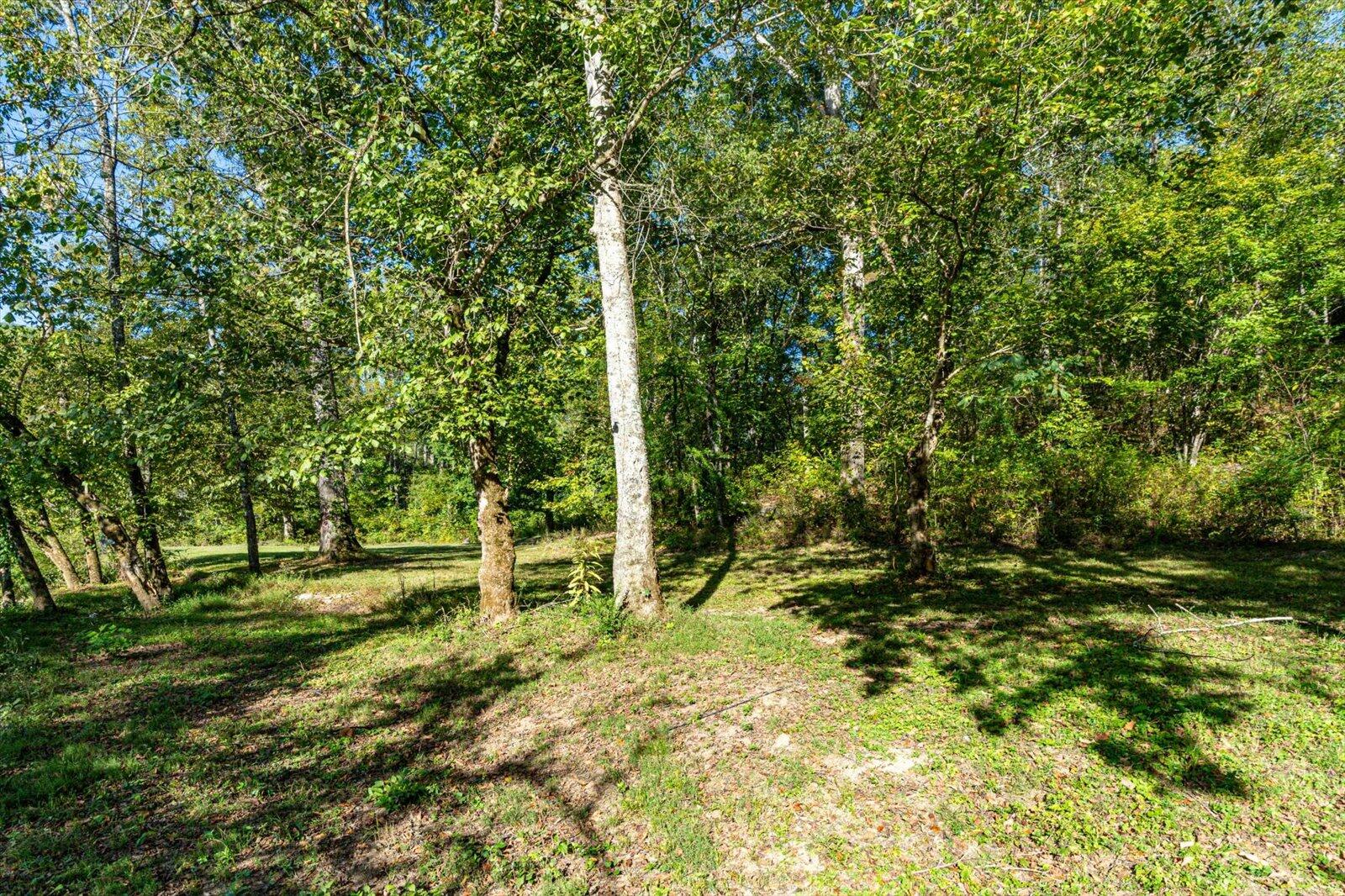 Lot 29 Swanson Tracts A&B Road