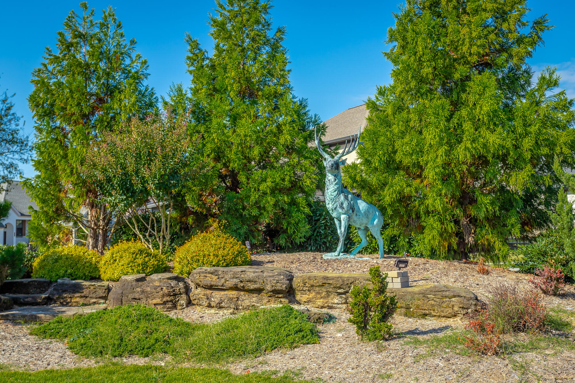 2664 Copper Cove