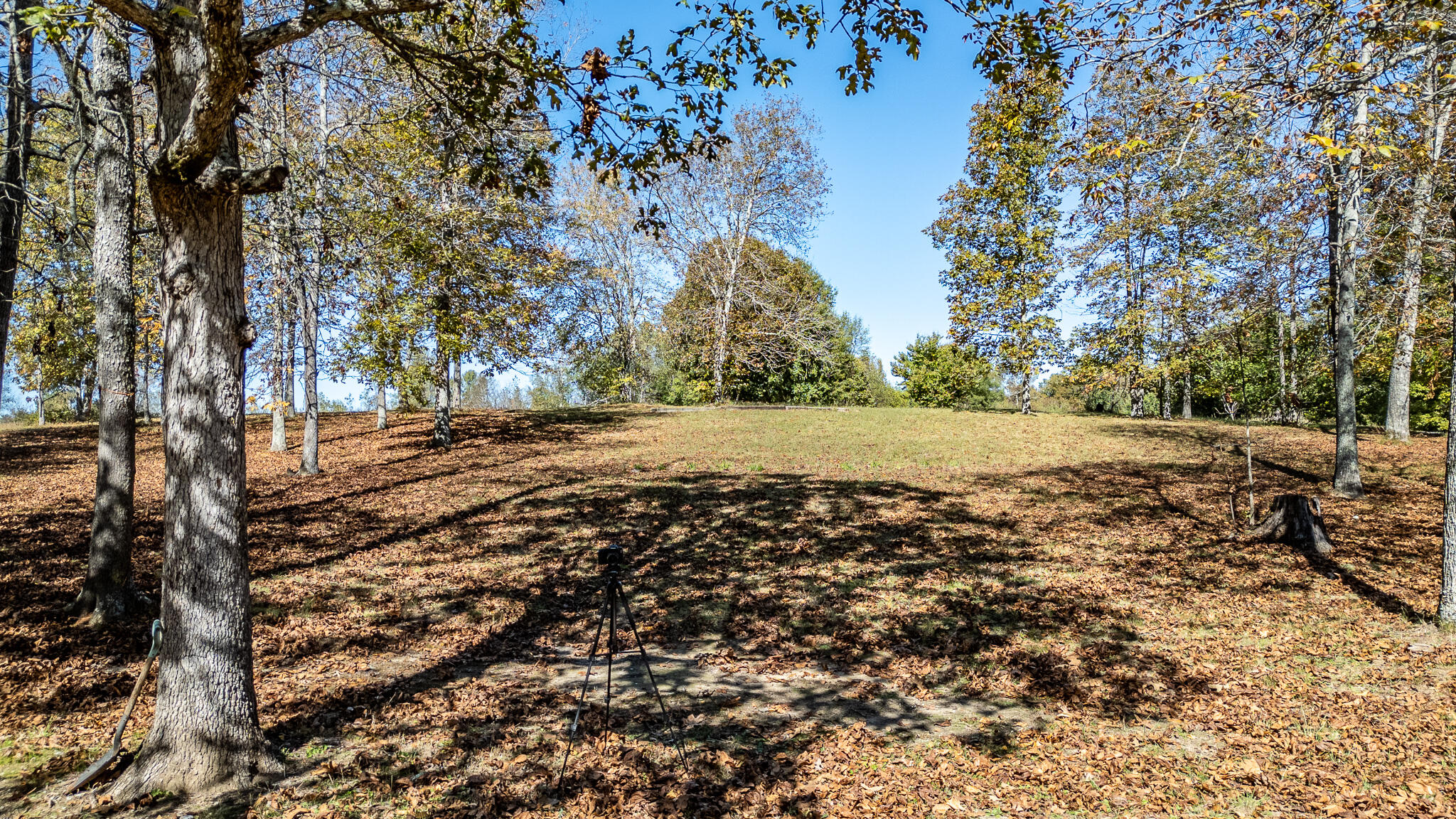 252 Smokey Clark Road