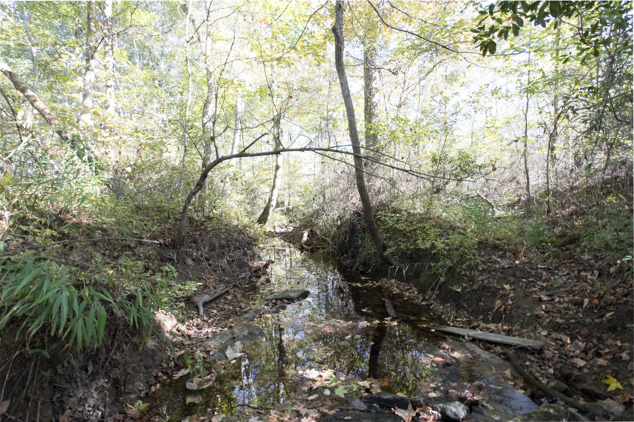 252 Smokey Clark Road
