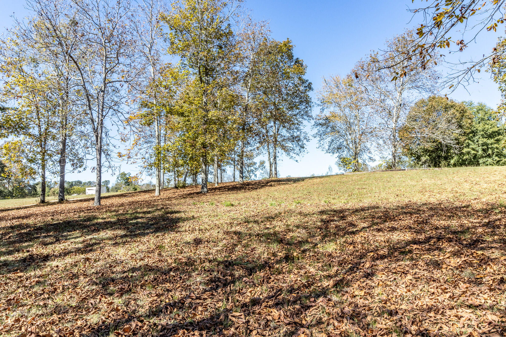 252 Smokey Clark Road