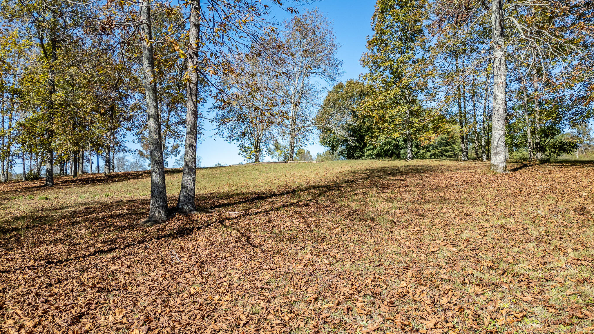 252 Smokey Clark Road
