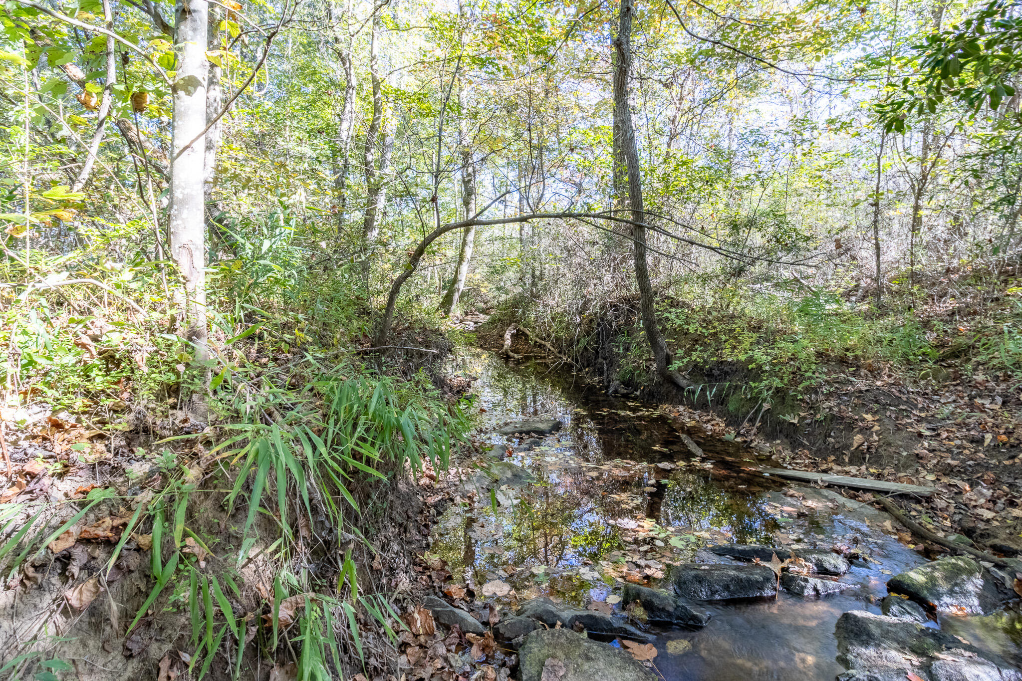 252 Smokey Clark Road