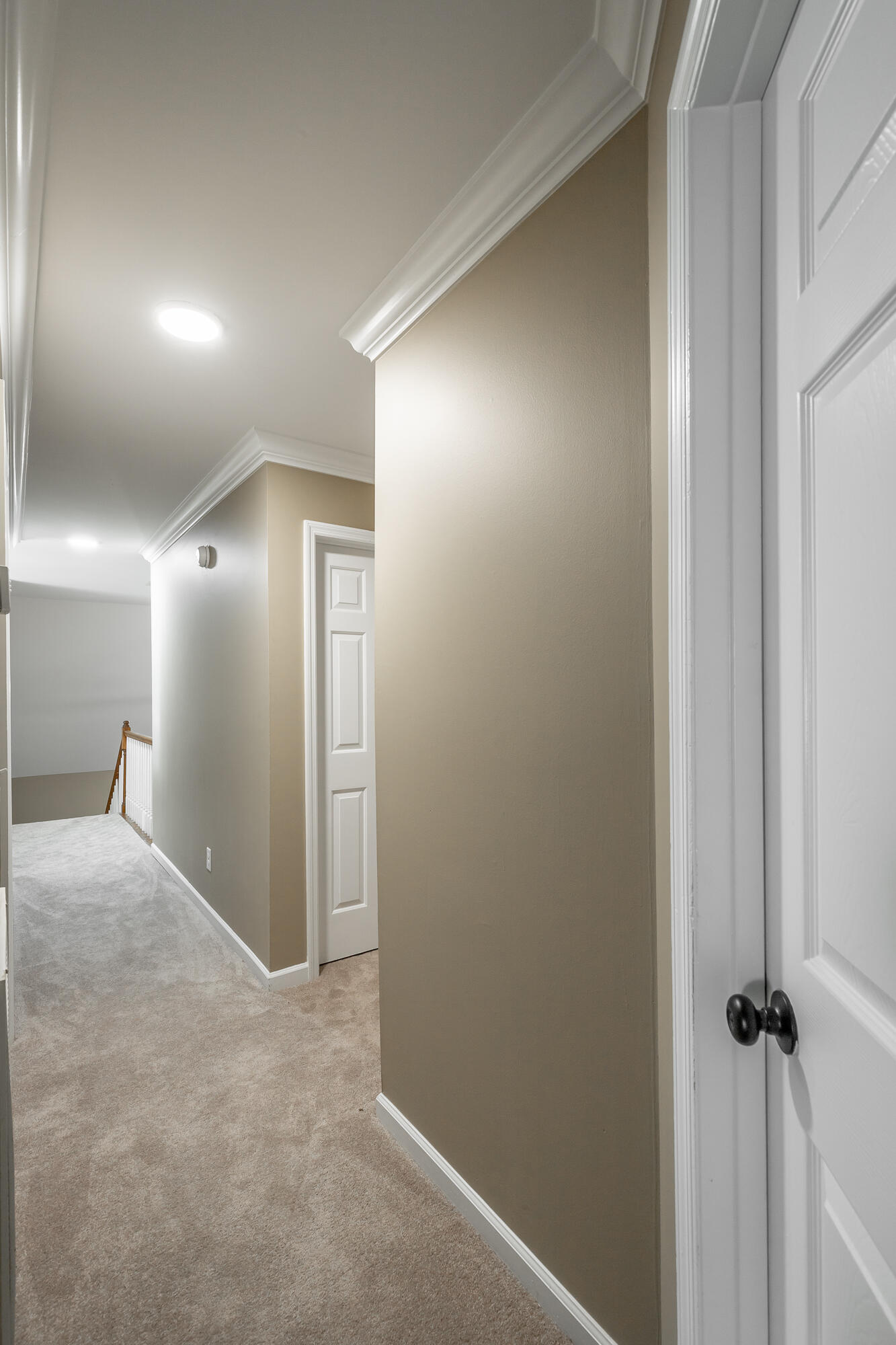 2325 Guinevere Parkway