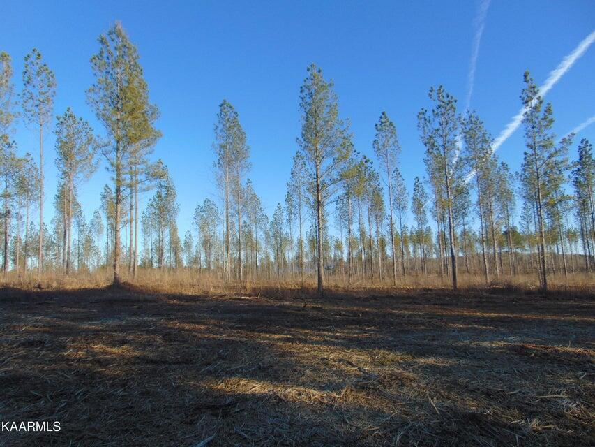 Tract 3&4 Hughes Lake Road SE, 3 ,4