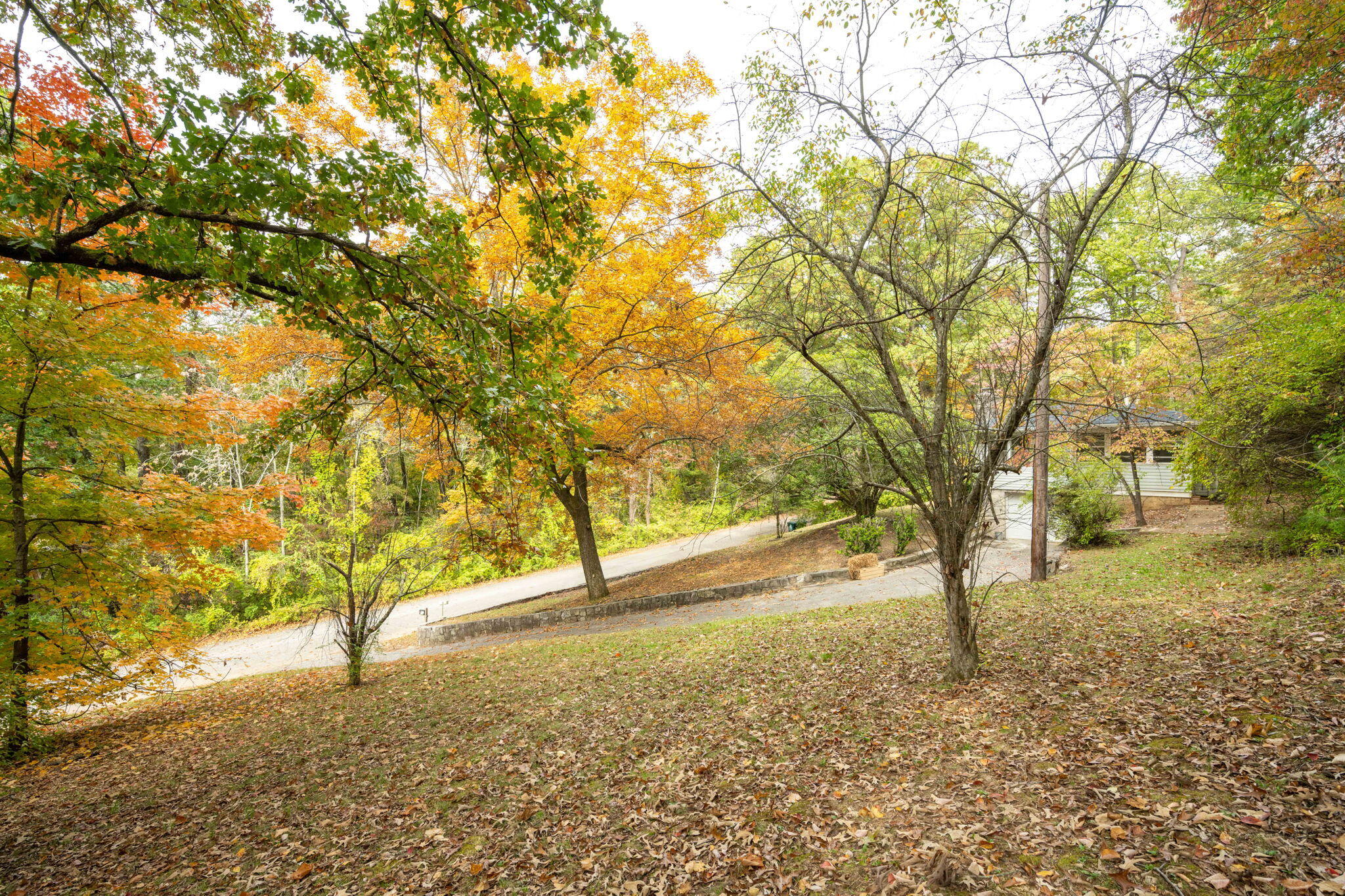 3418 Birchwood Drive