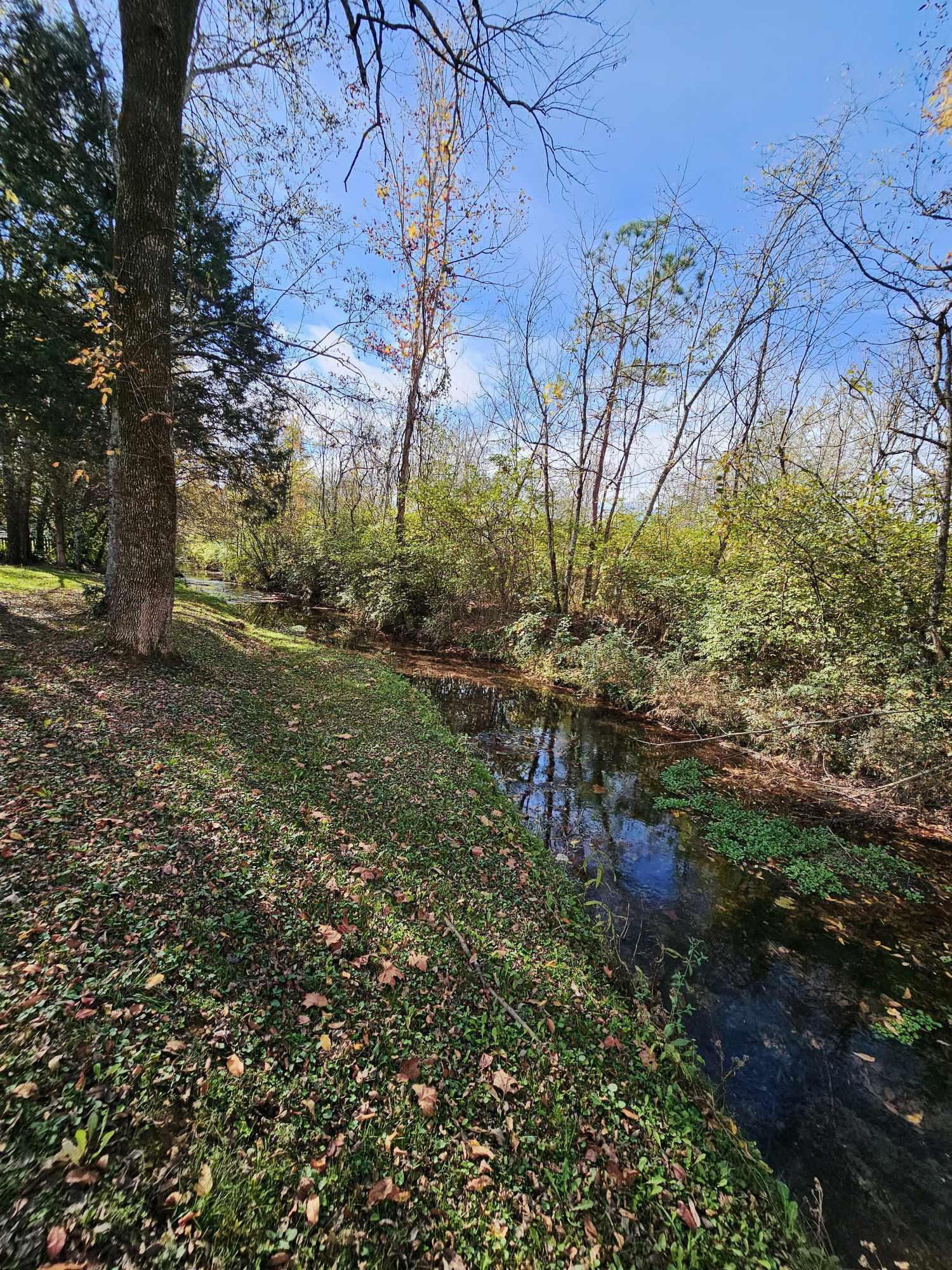 2616 Churchill Downs Circle