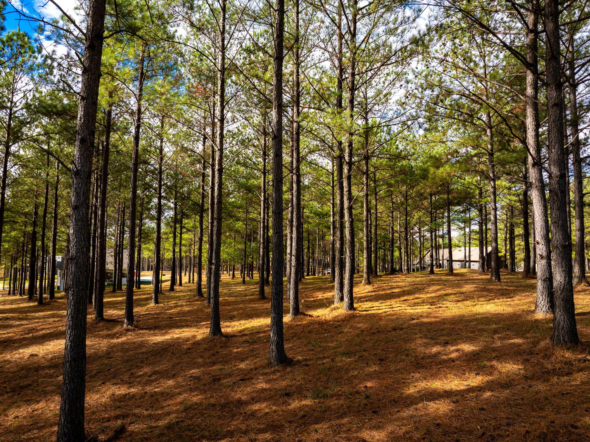 0 Deer Ridge Point