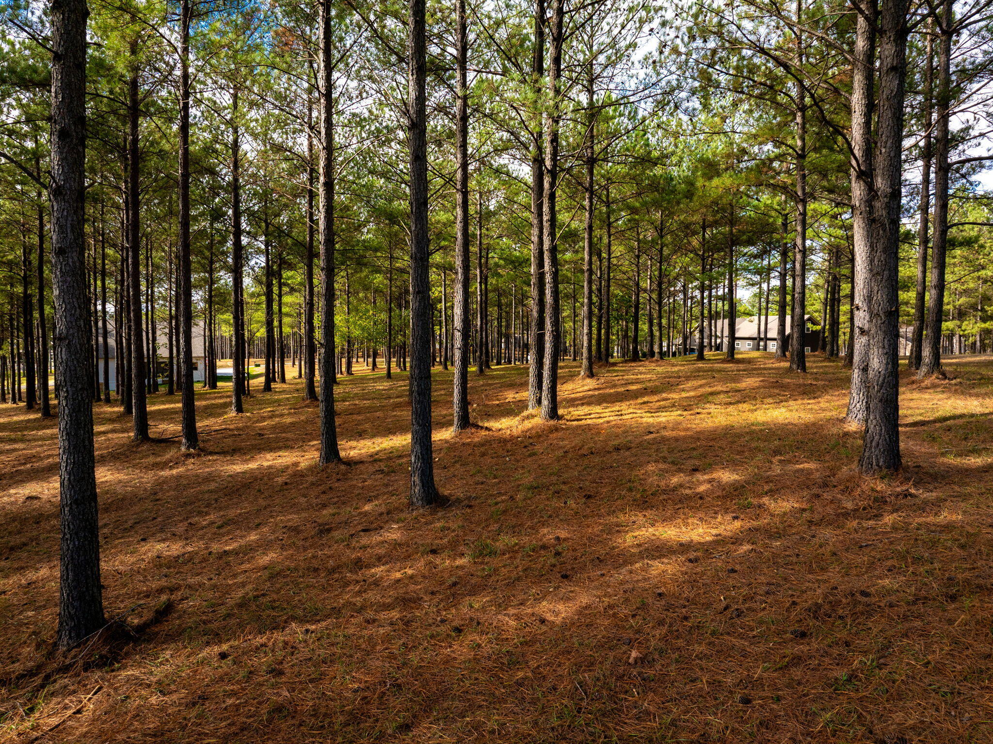 0 Deer Ridge Point