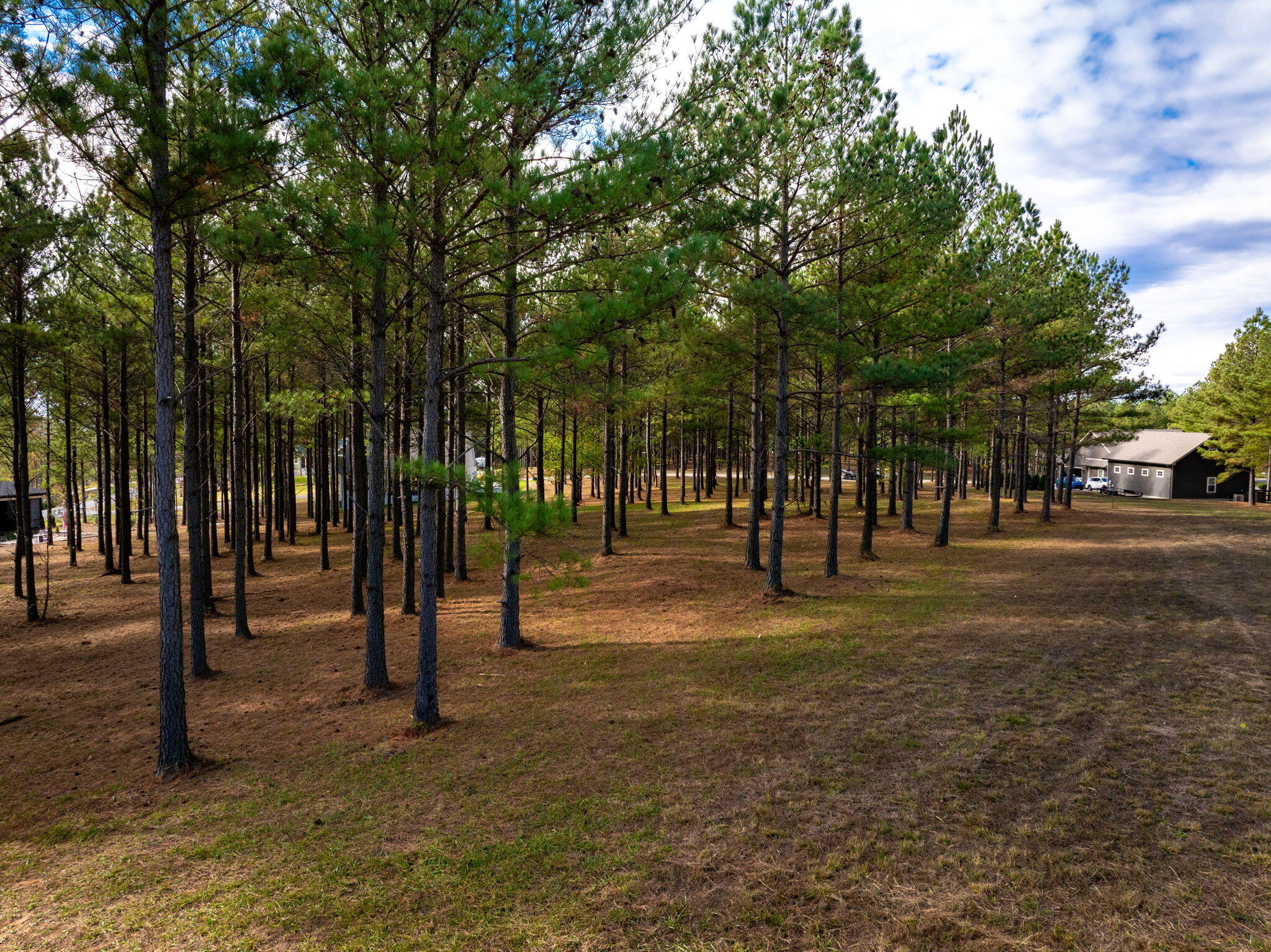 0 Deer Ridge Point
