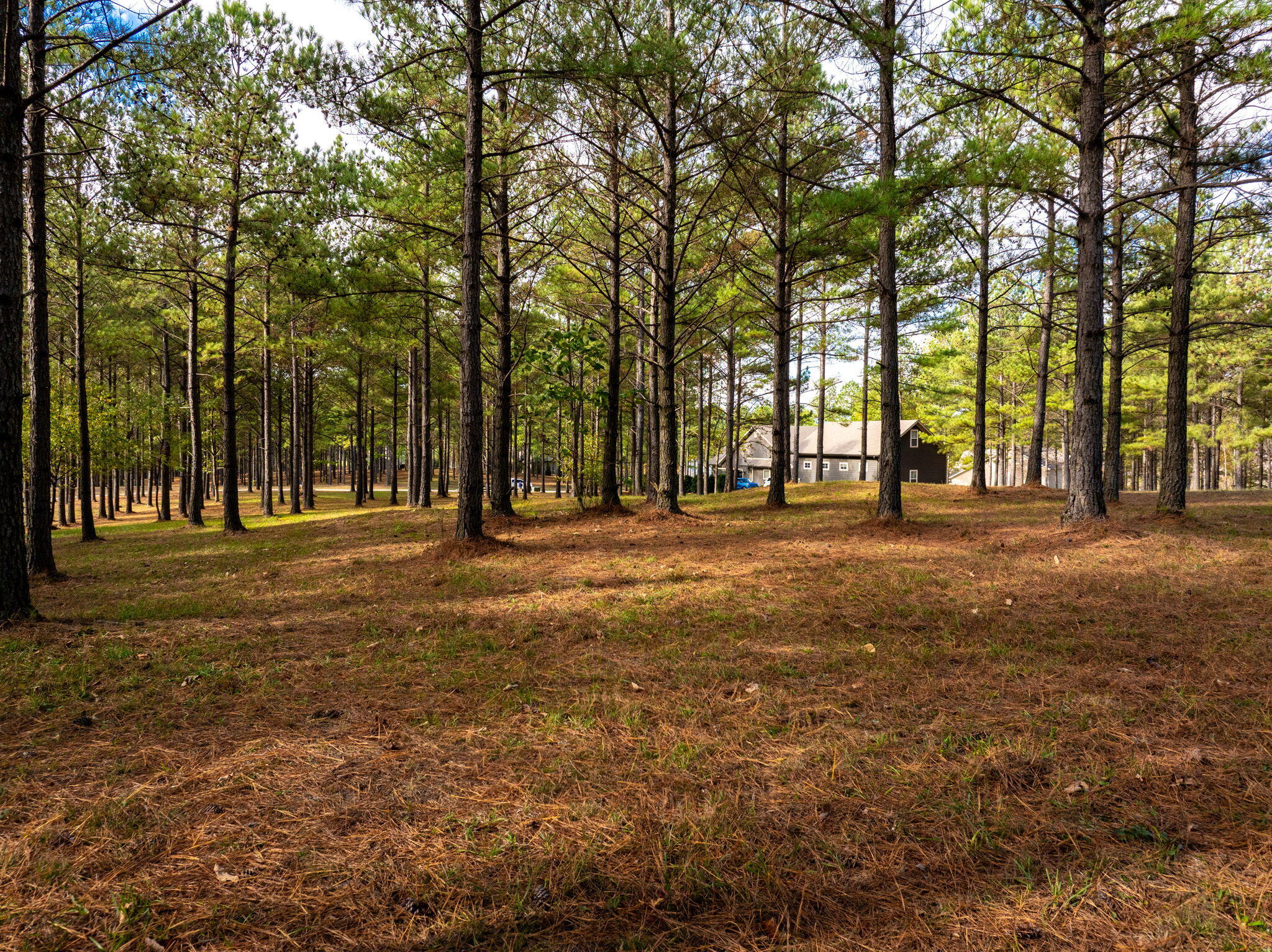 0 Deer Ridge Point