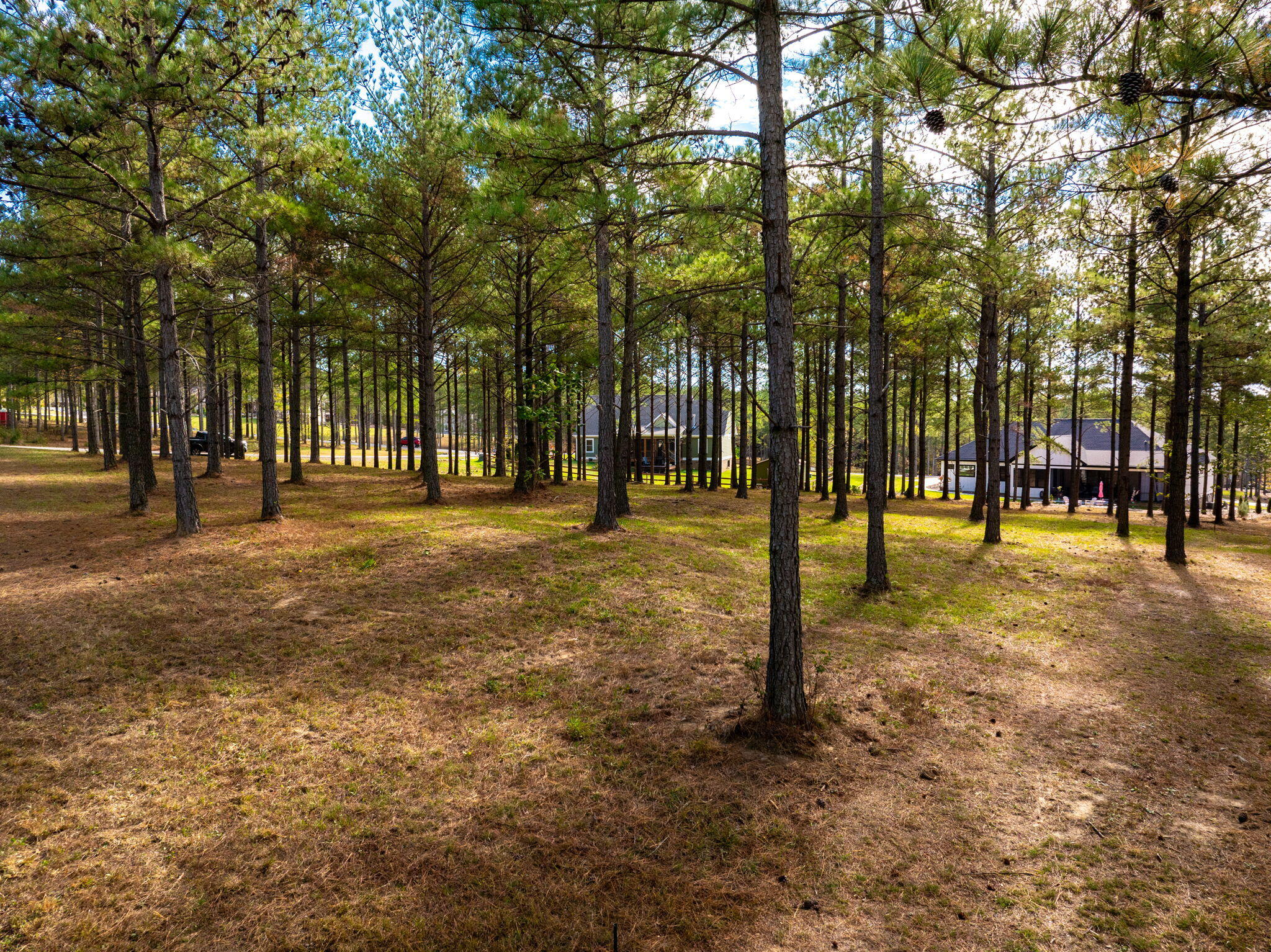 0 Deer Ridge Point