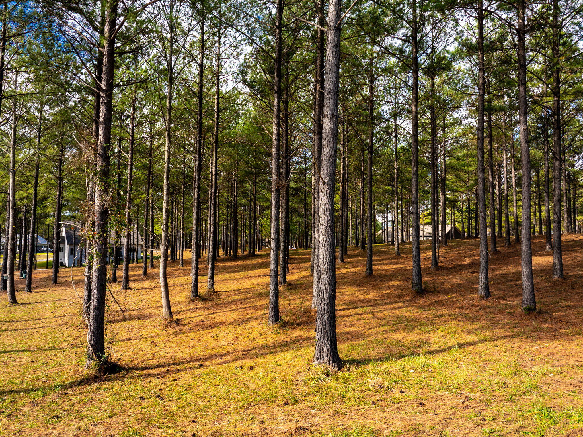 0 Deer Ridge Point