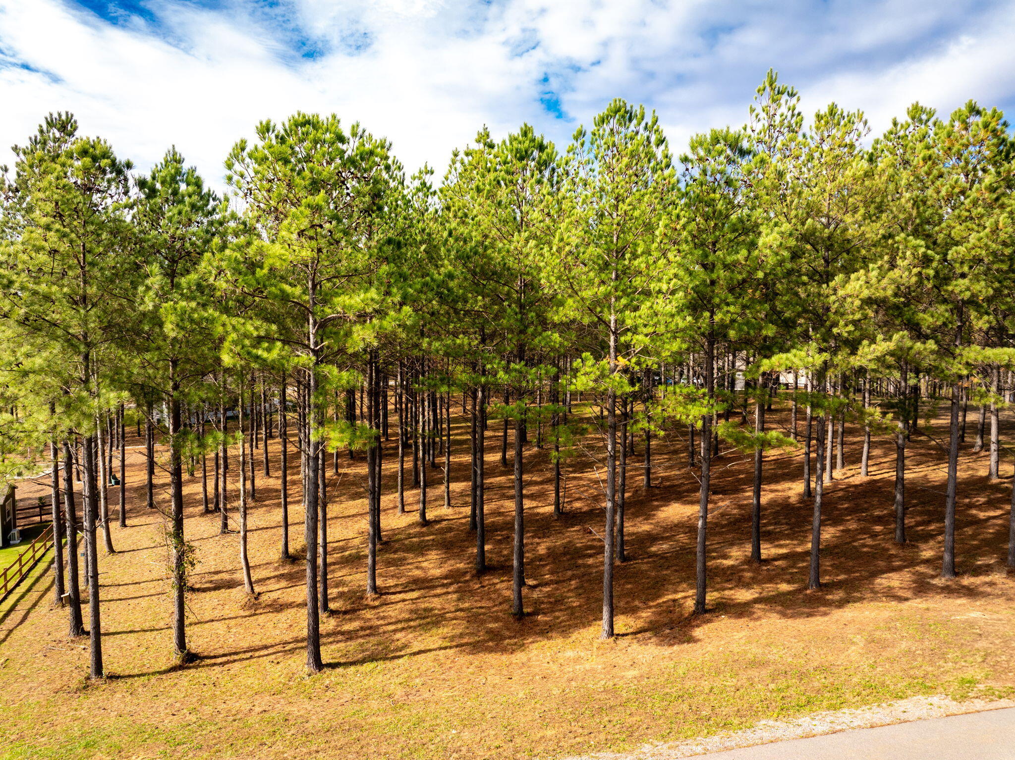 0 Deer Ridge Point