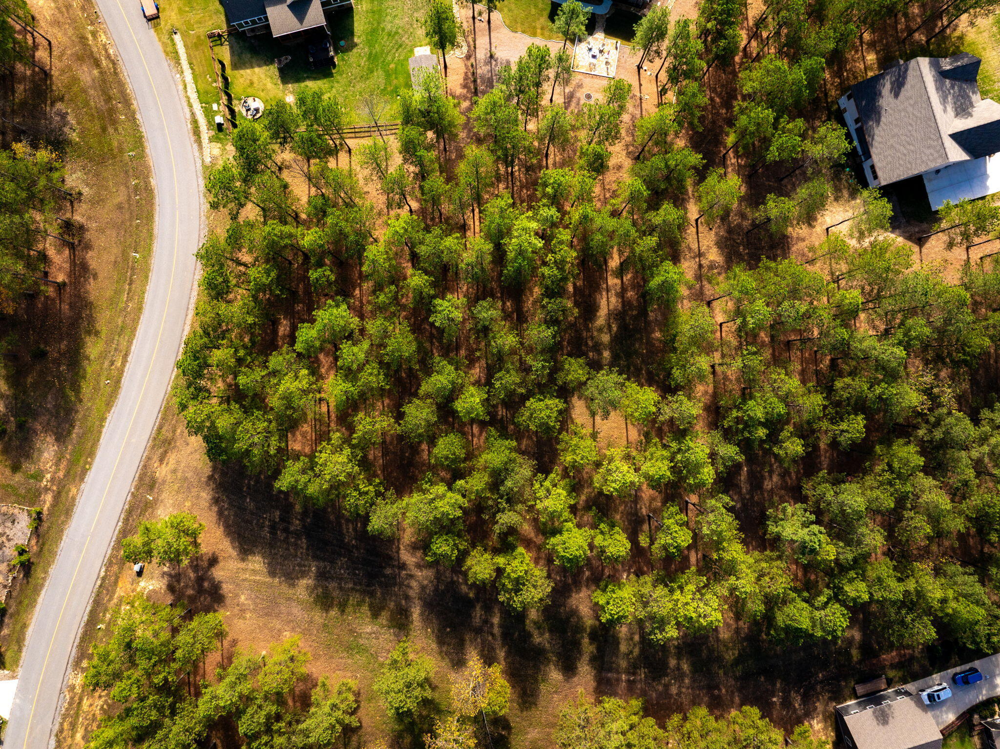 0 Deer Ridge Point