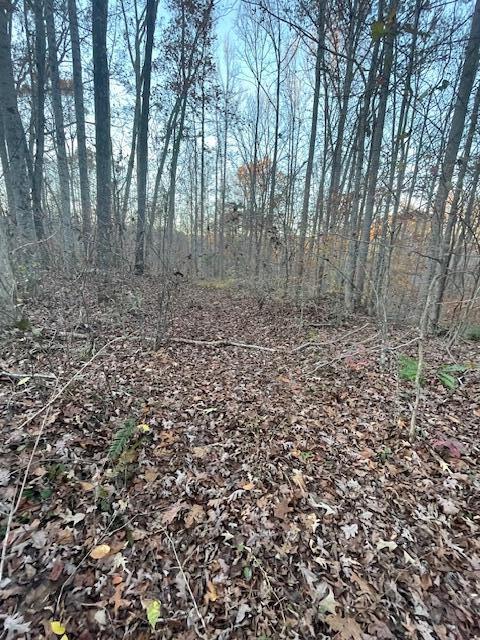 468 Horns Creek Road