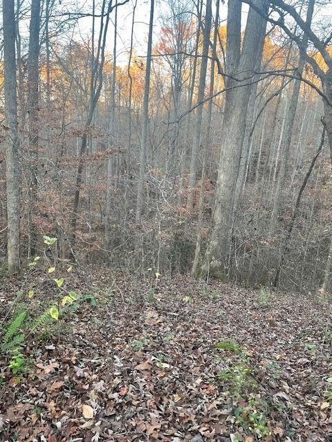 468 Horns Creek Road
